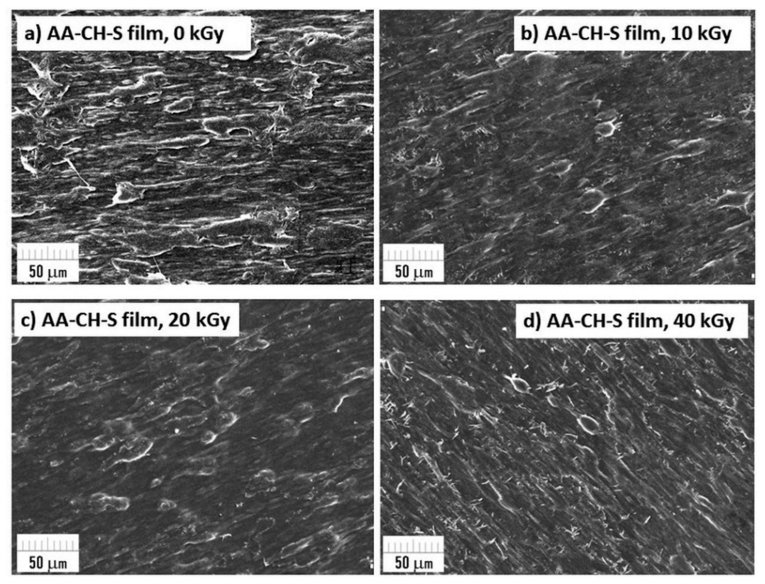 Materials 16 00859 g008