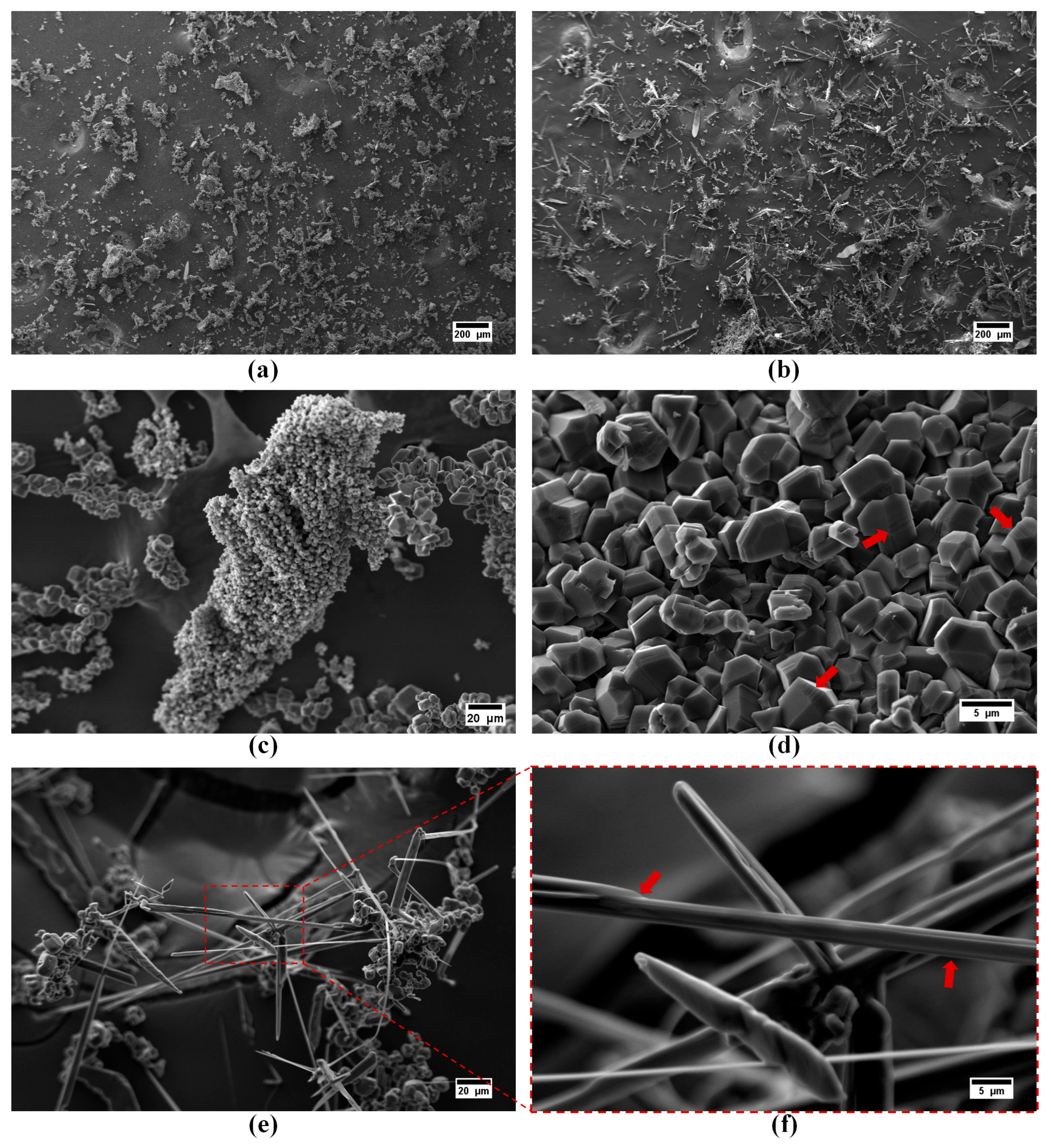 Materials 16 00861 g004 Materials 16 00861 g004