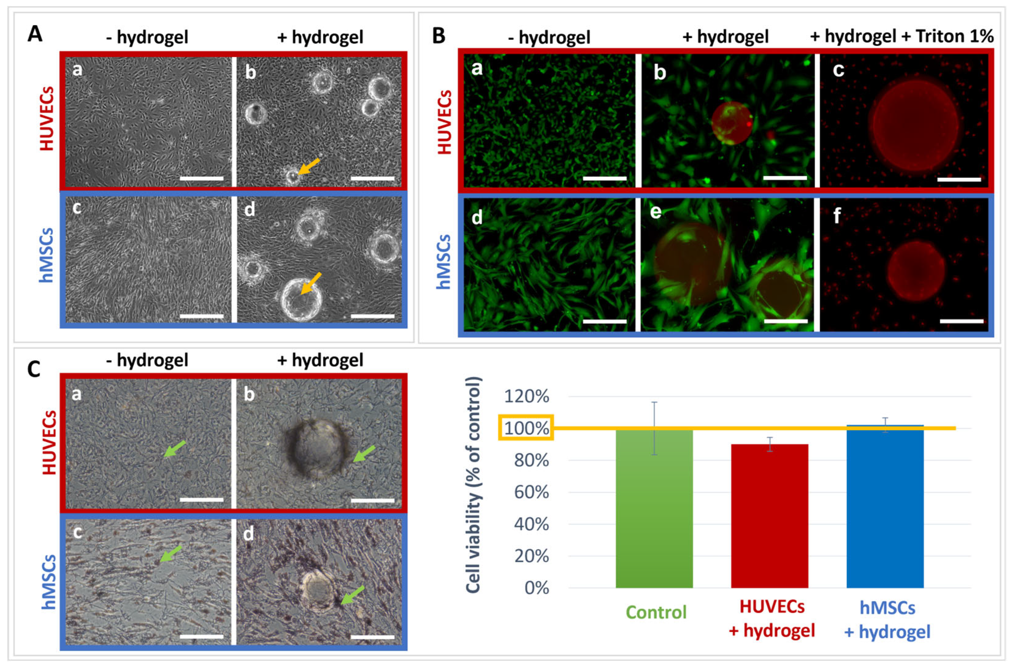Materials 16 00862 g005 Materials 16 00862 g005