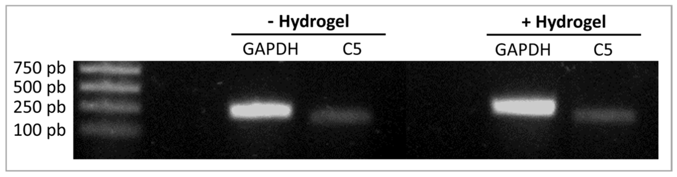 Materials 16 00862 g006 Materials 16 00862 g006