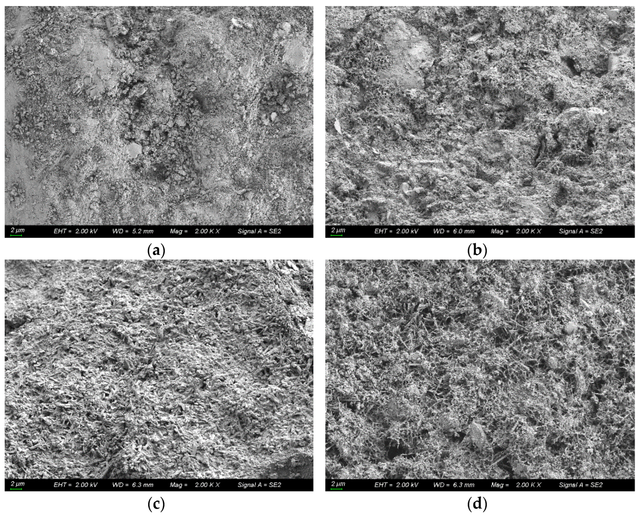 Materials 16 00869 g012