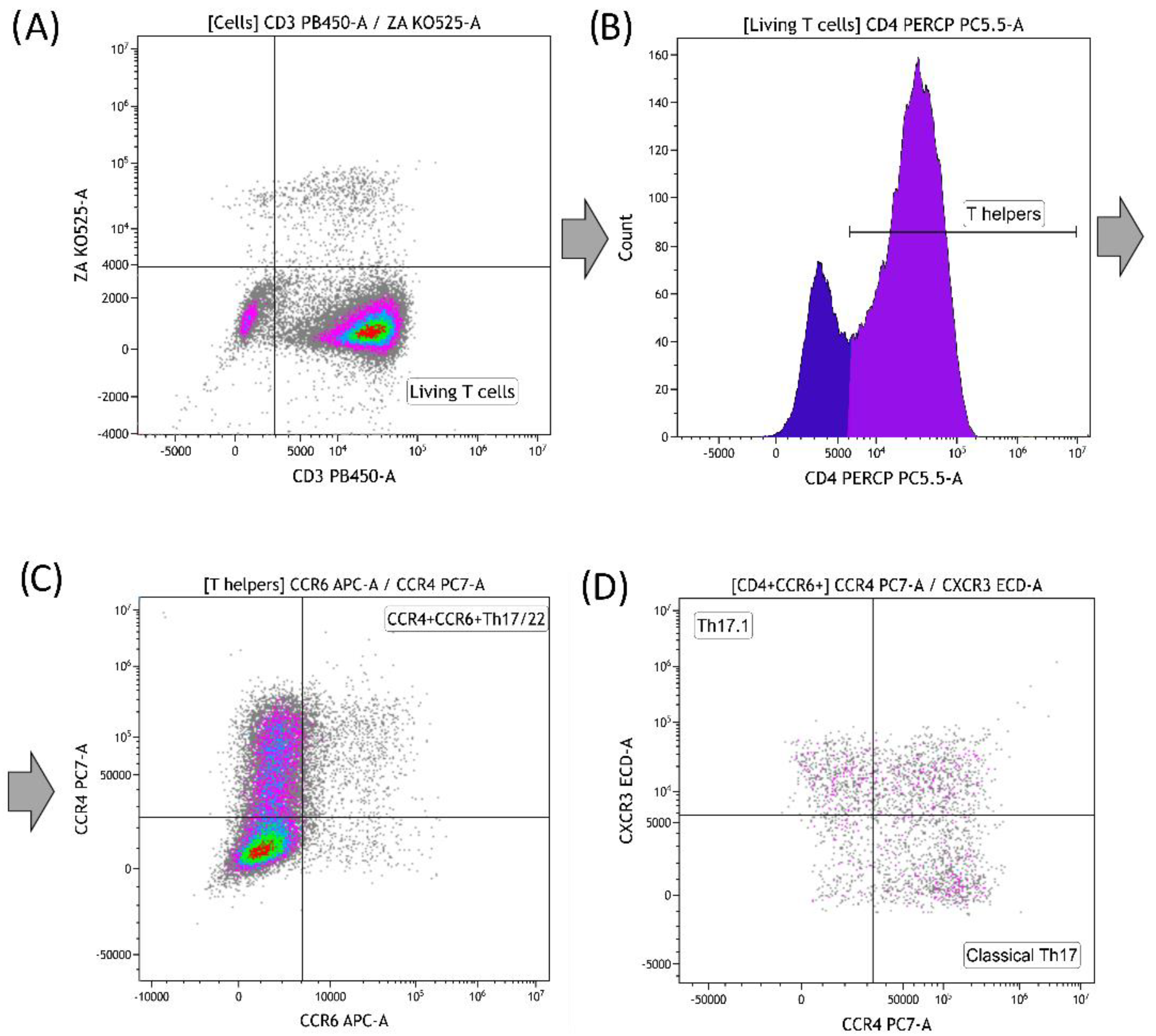 Materials 16 00877 g003