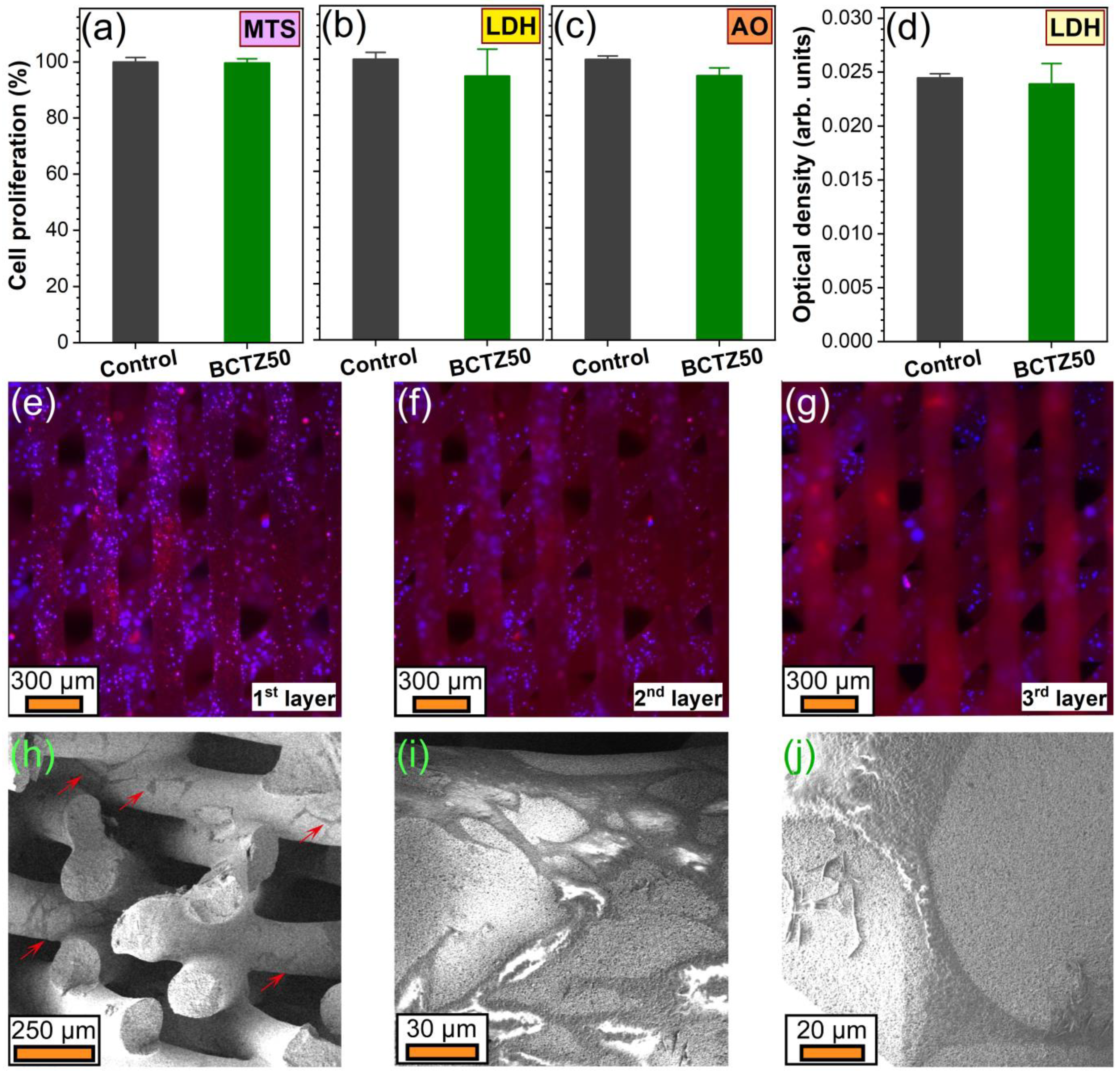 Materials 16 00901 g011
