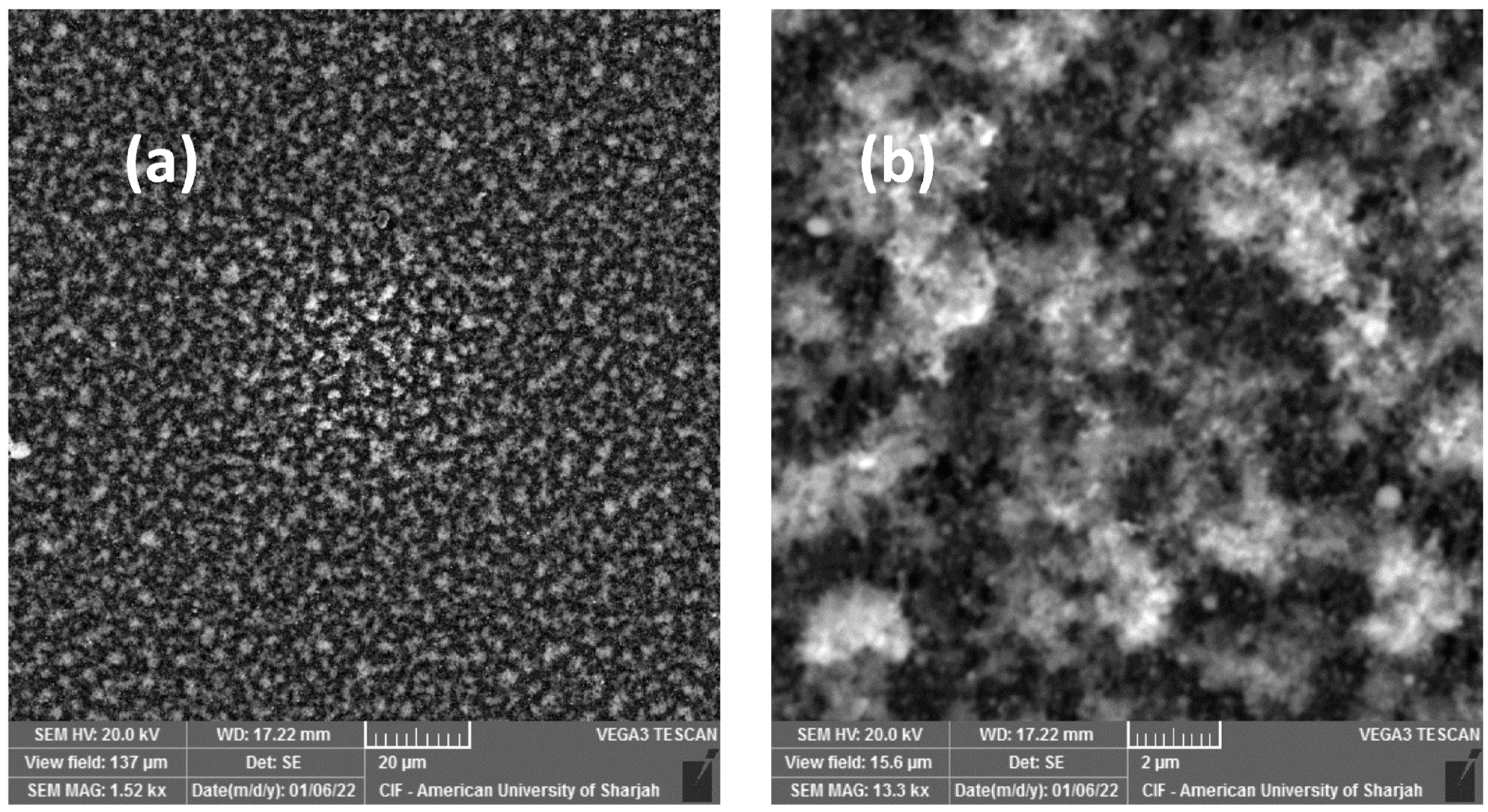 Materials 16 00909 g002