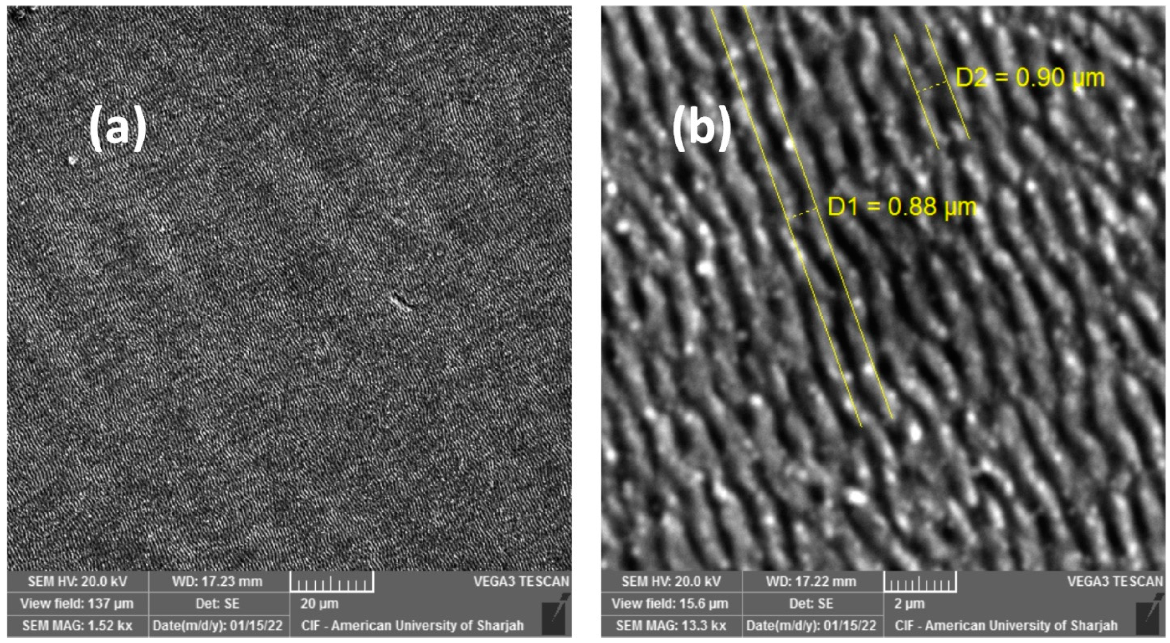 Materials 16 00909 g003