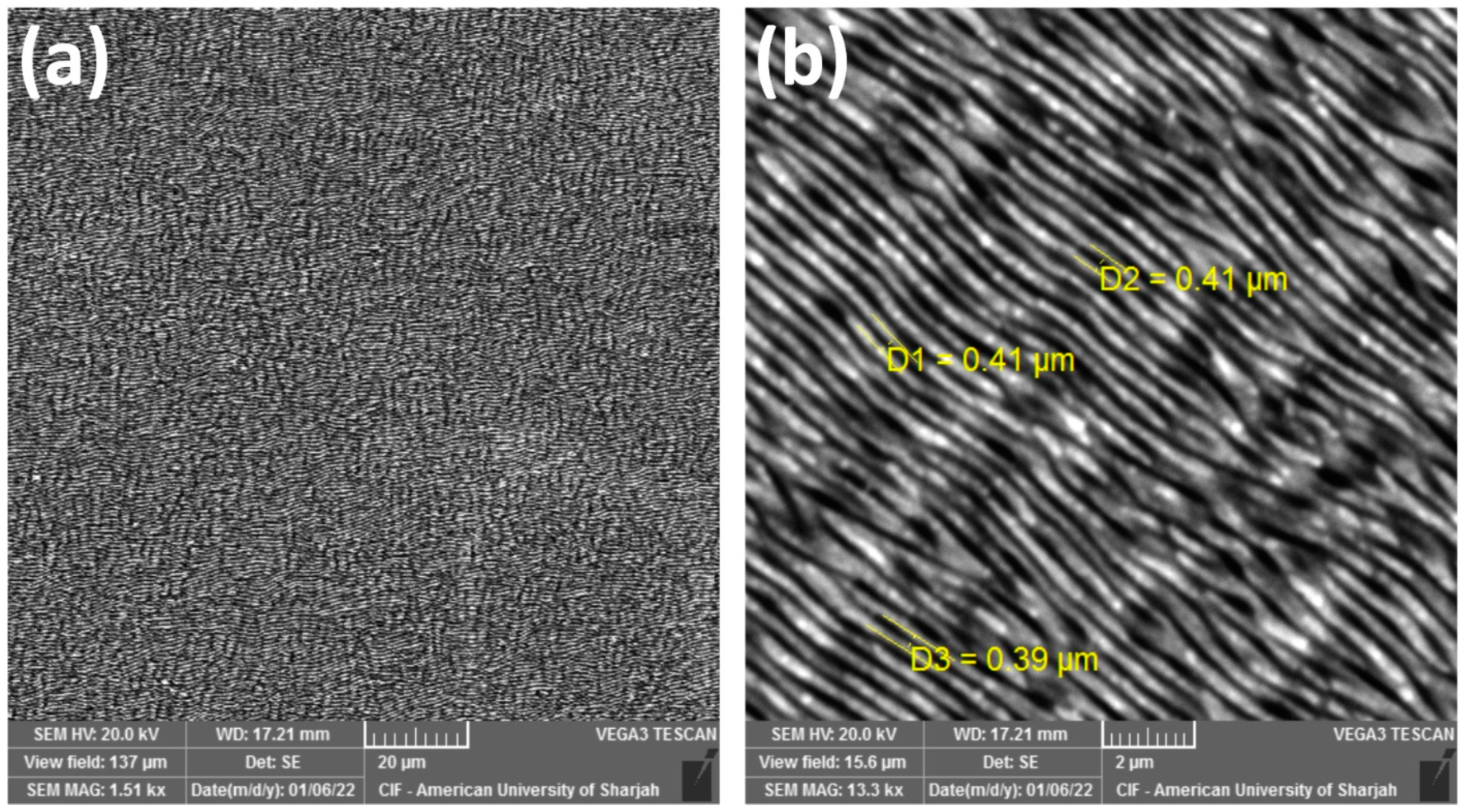 Materials 16 00909 g004