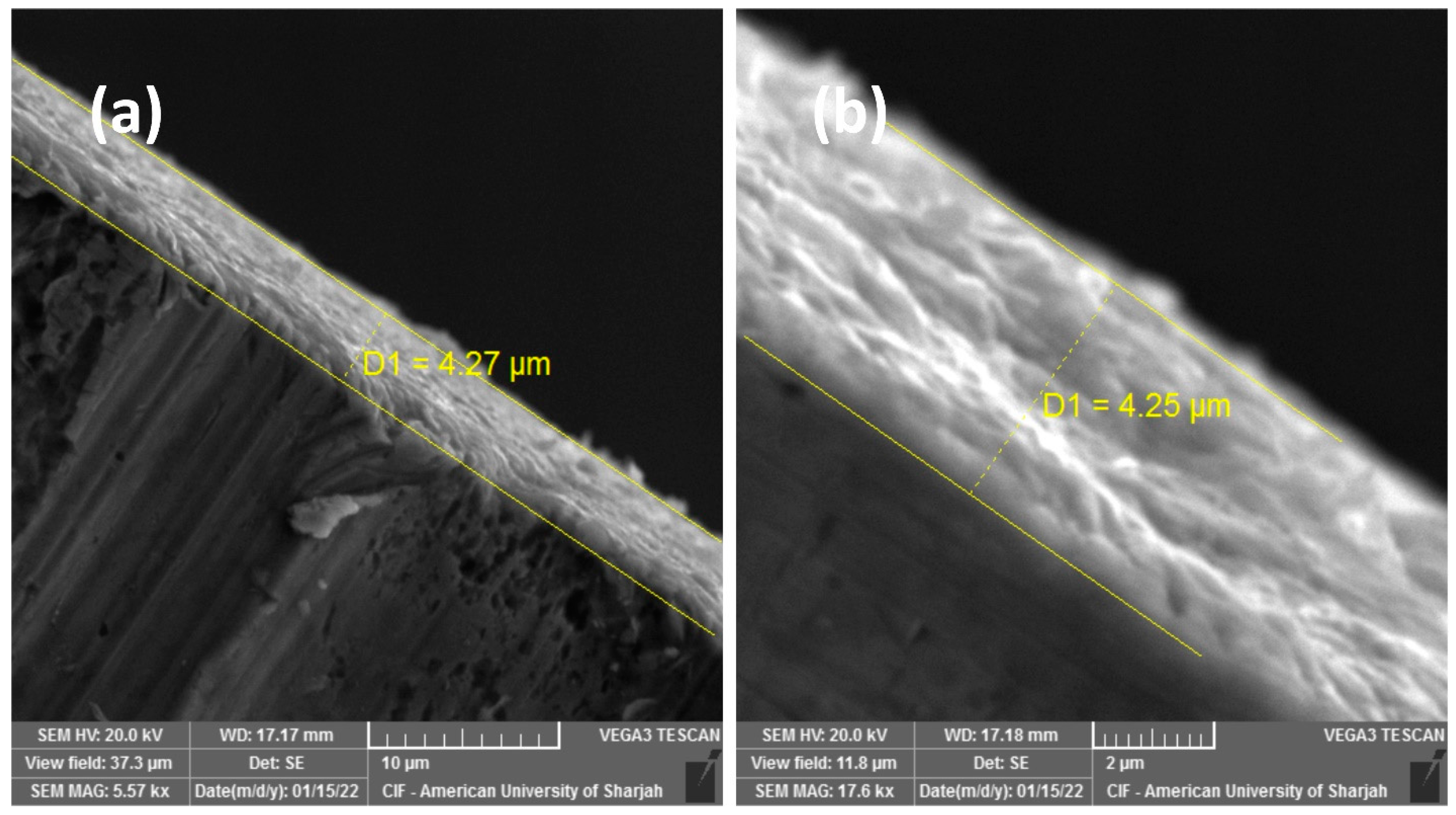 Materials 16 00909 g006
