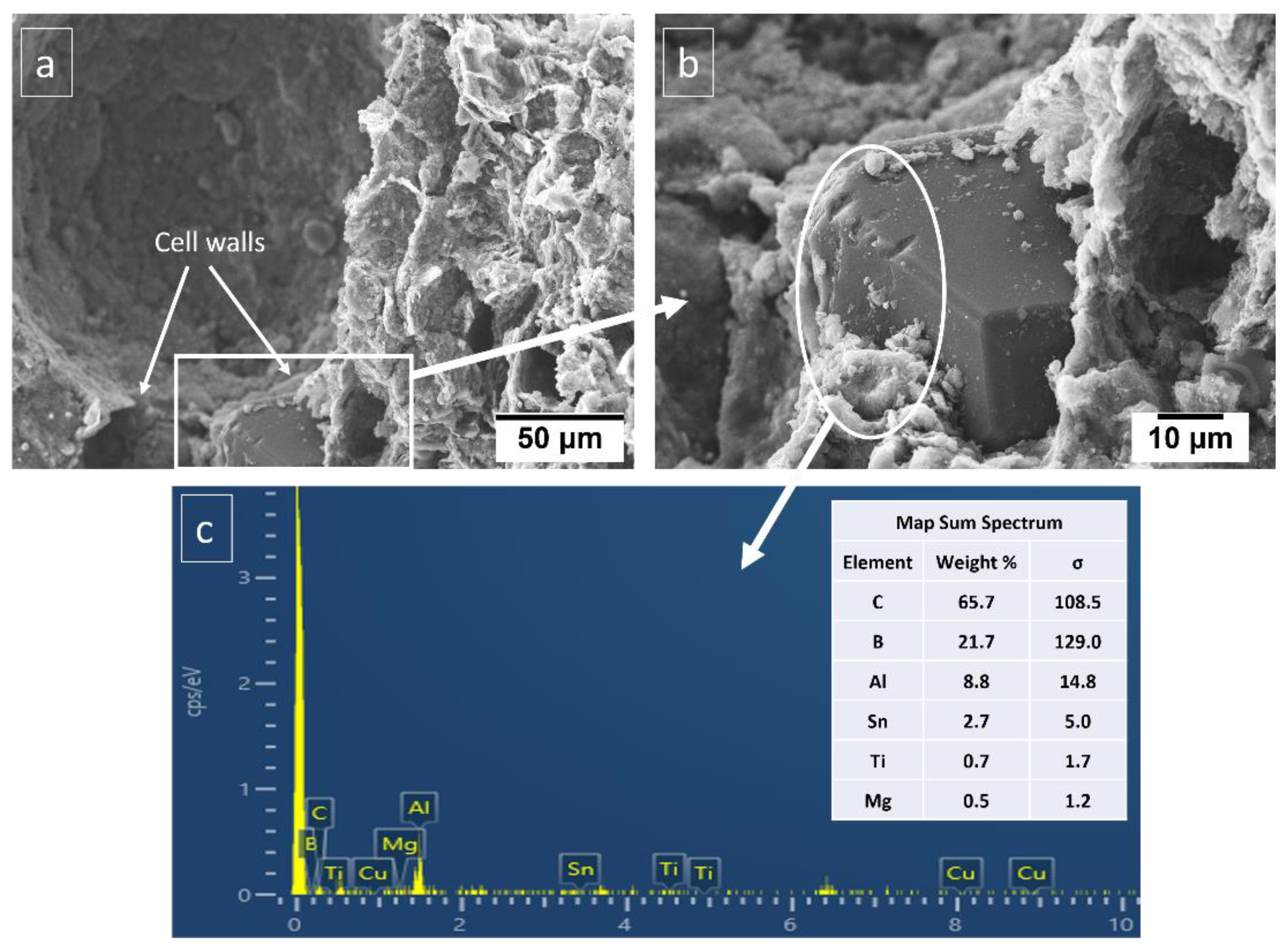 Materials 16 00921 g003