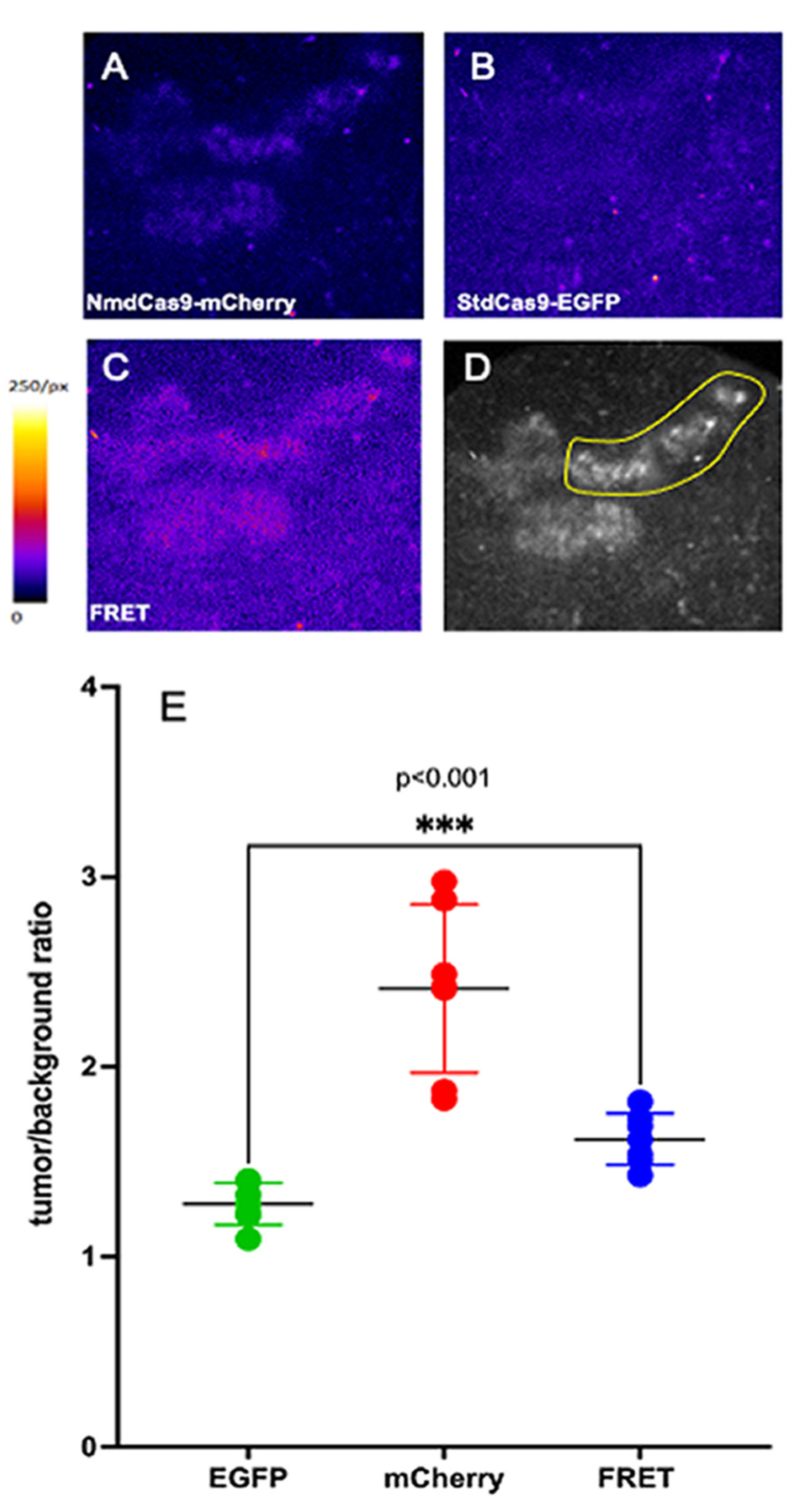 Materials 16 00940 g005