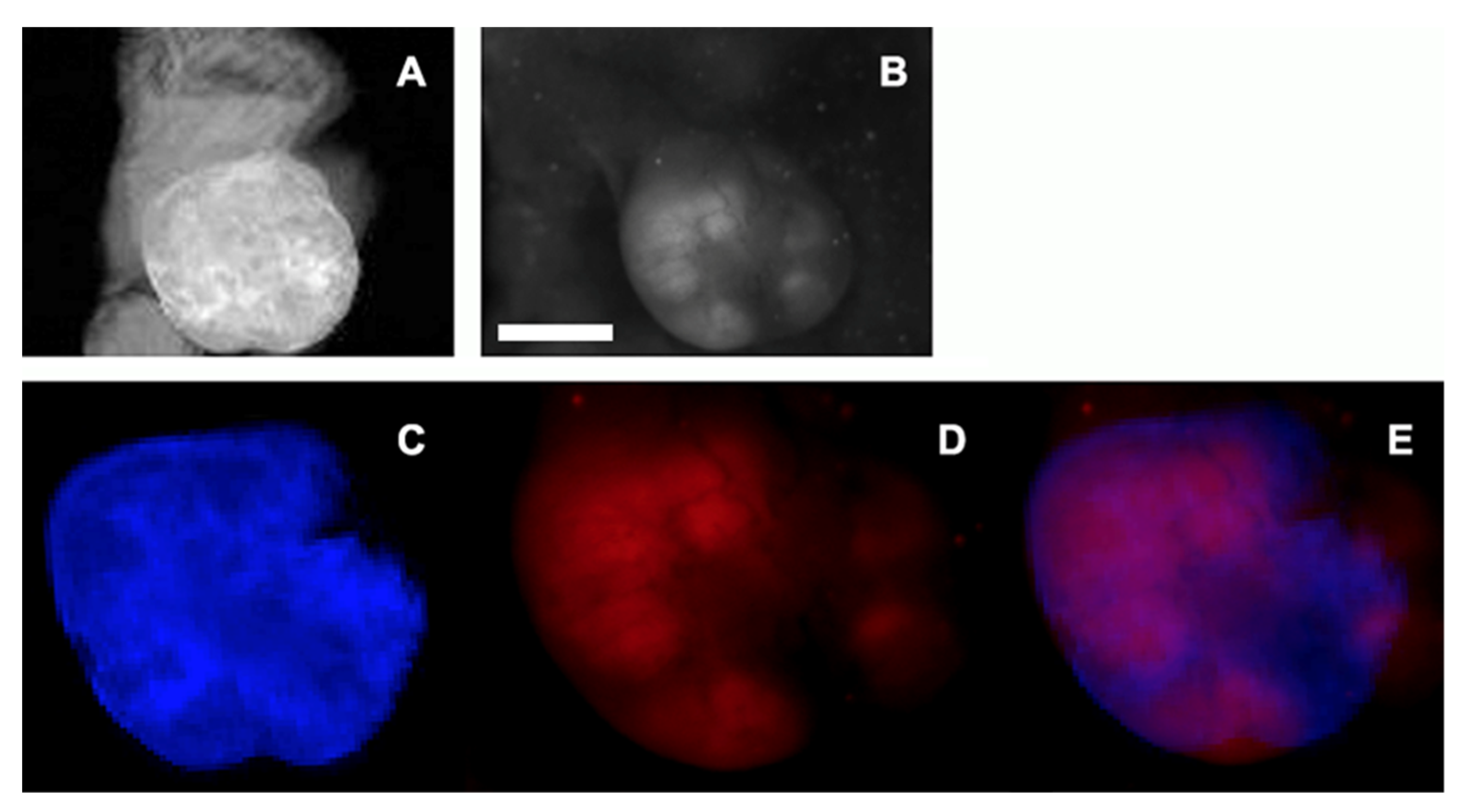 Materials 16 00940 g006