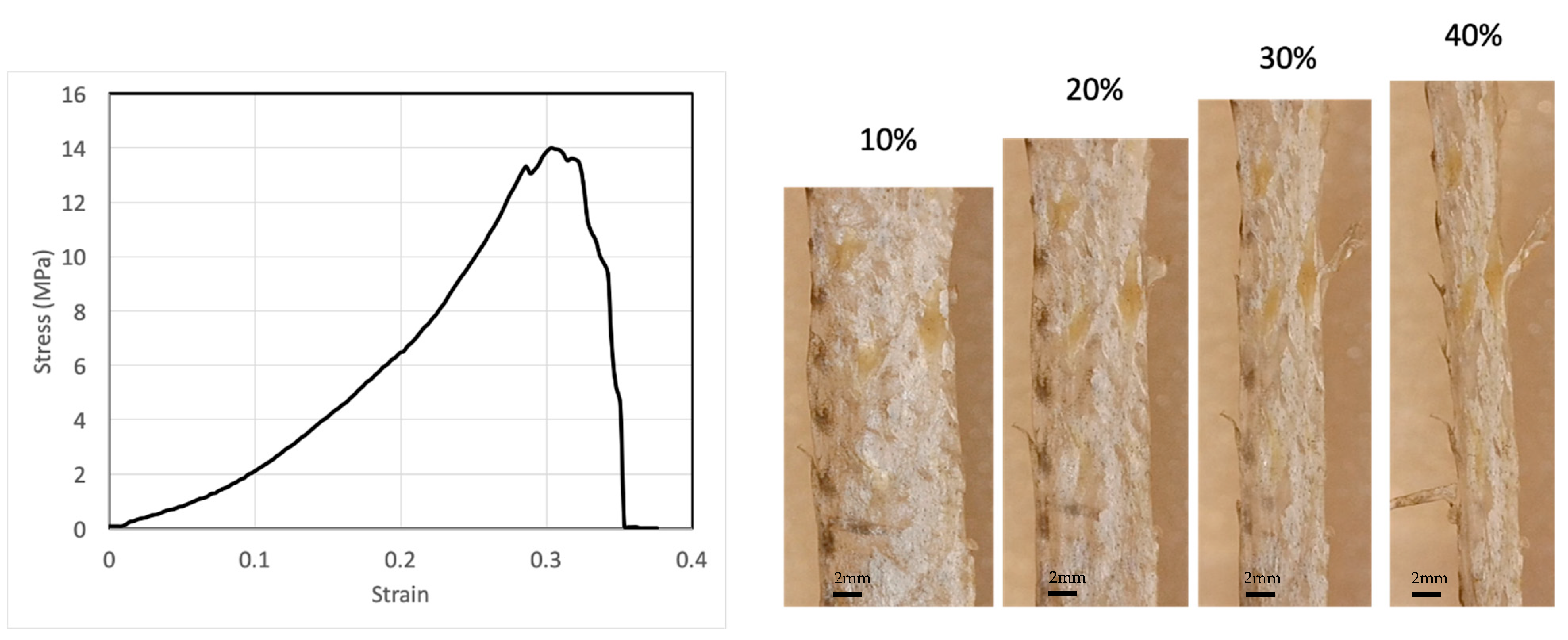 Materials 16 00953 g001