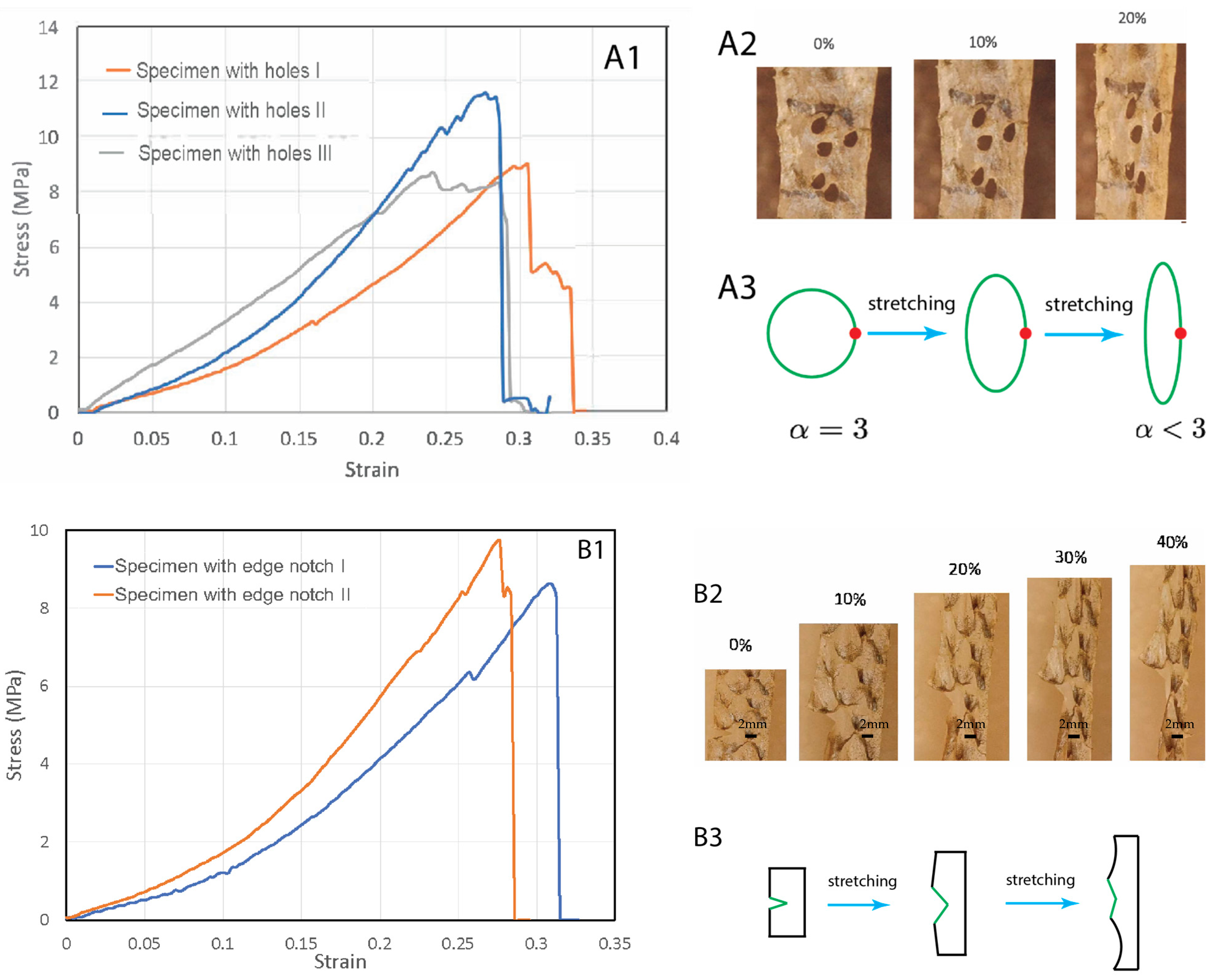 Materials 16 00953 g003