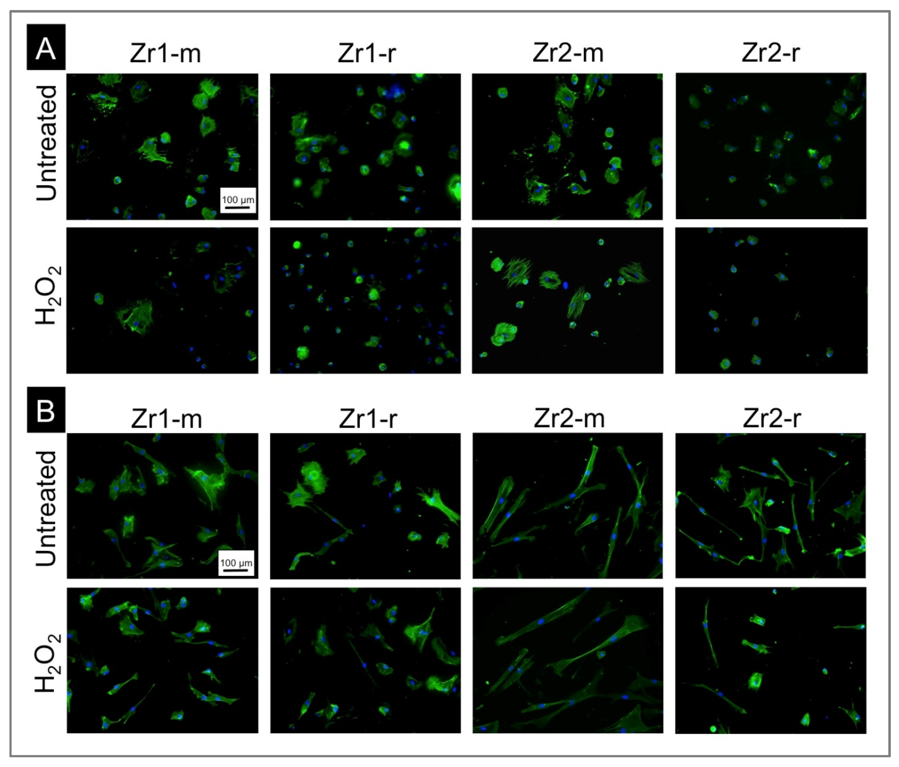 Materials 16 00961 g003