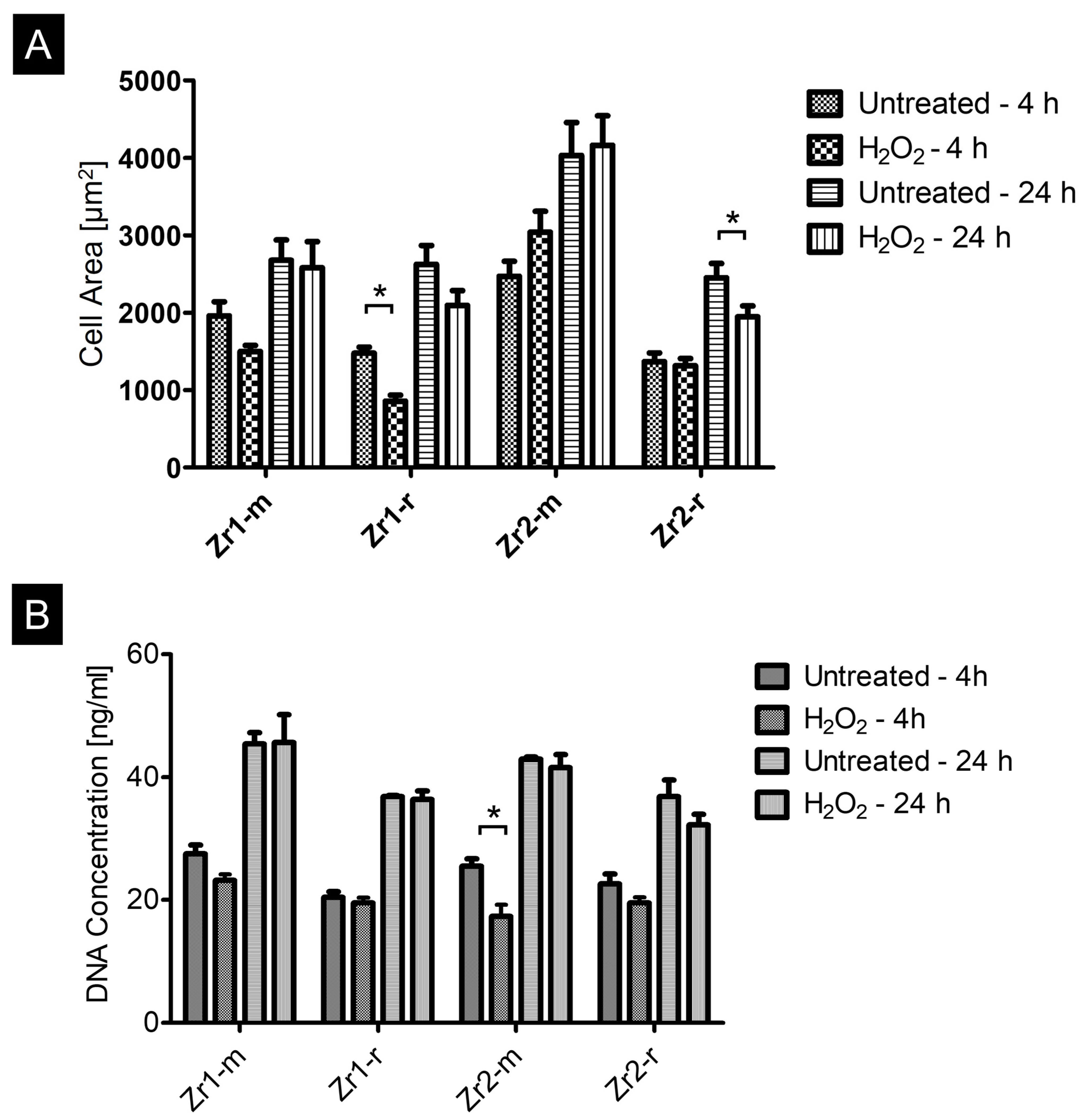 Materials 16 00961 g004