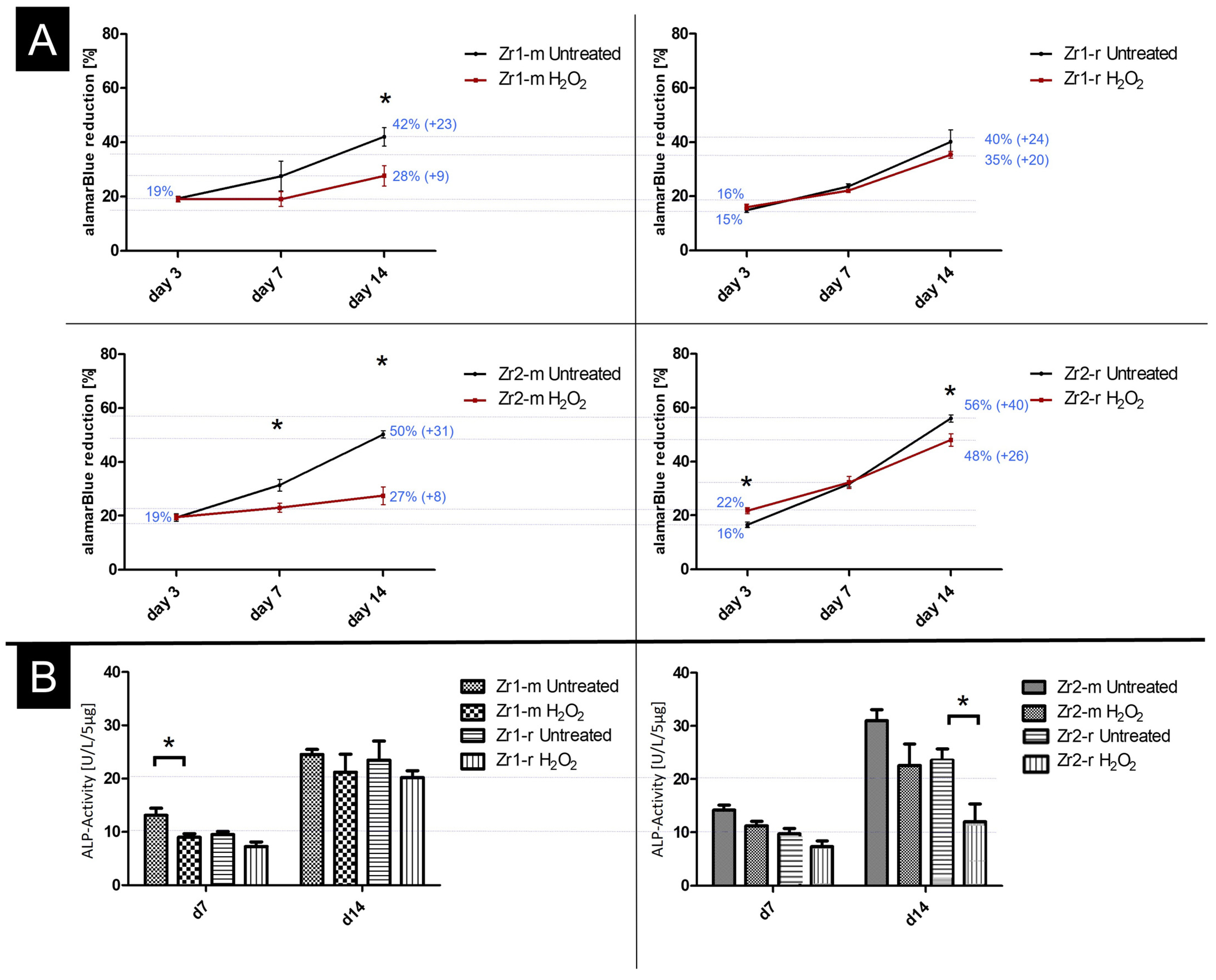 Materials 16 00961 g005