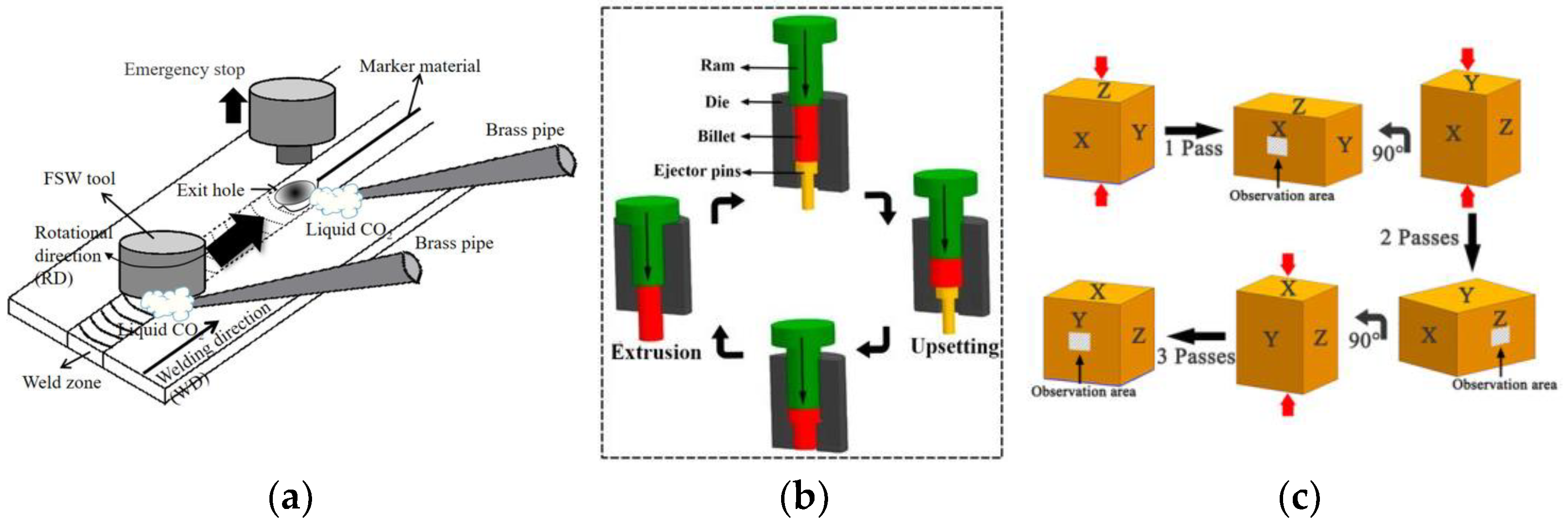 Materials 16 00976 g001
