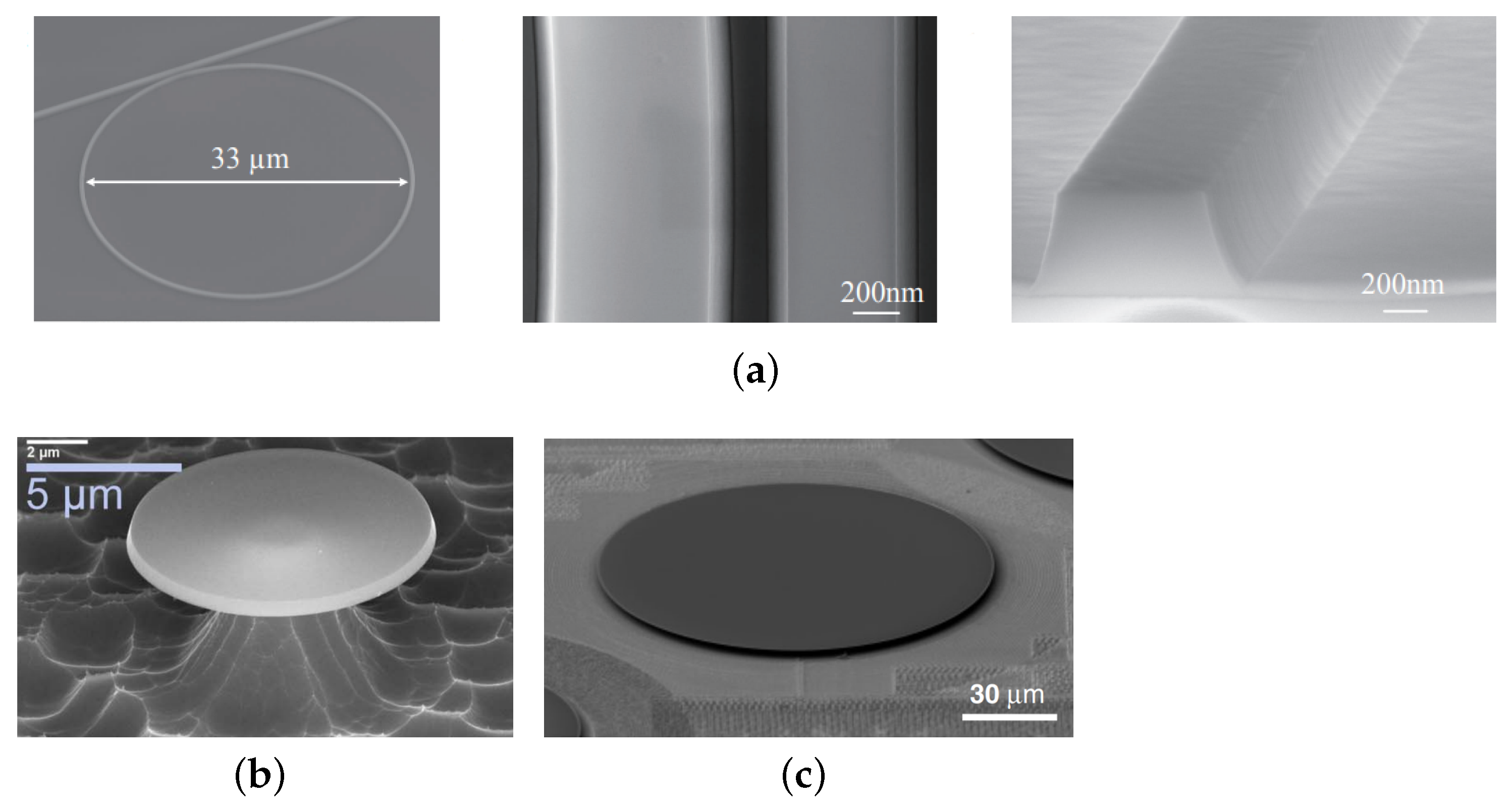 Materials 16 01014 g003