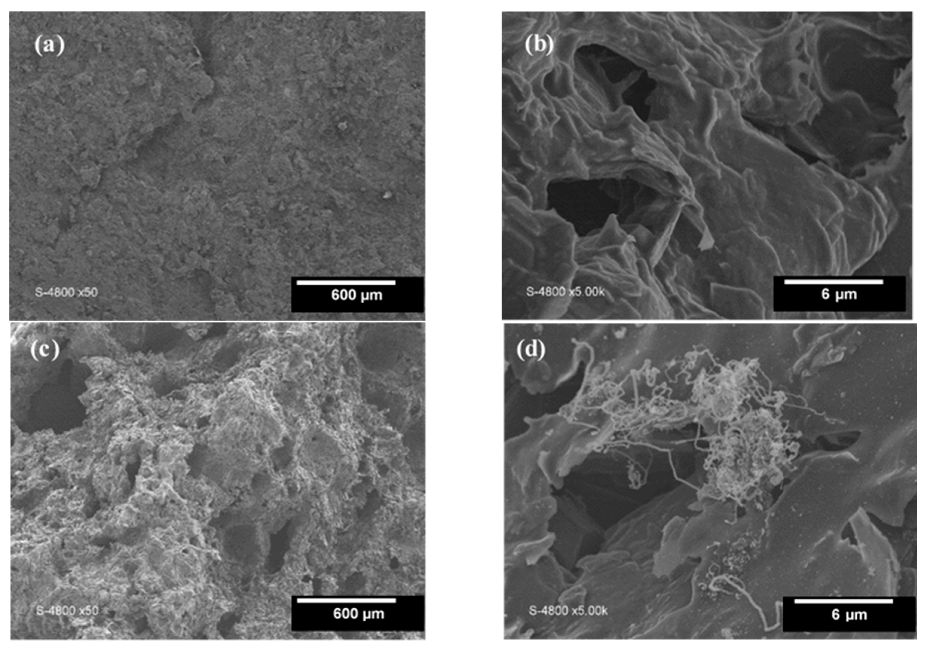 Materials 16 01015 g002