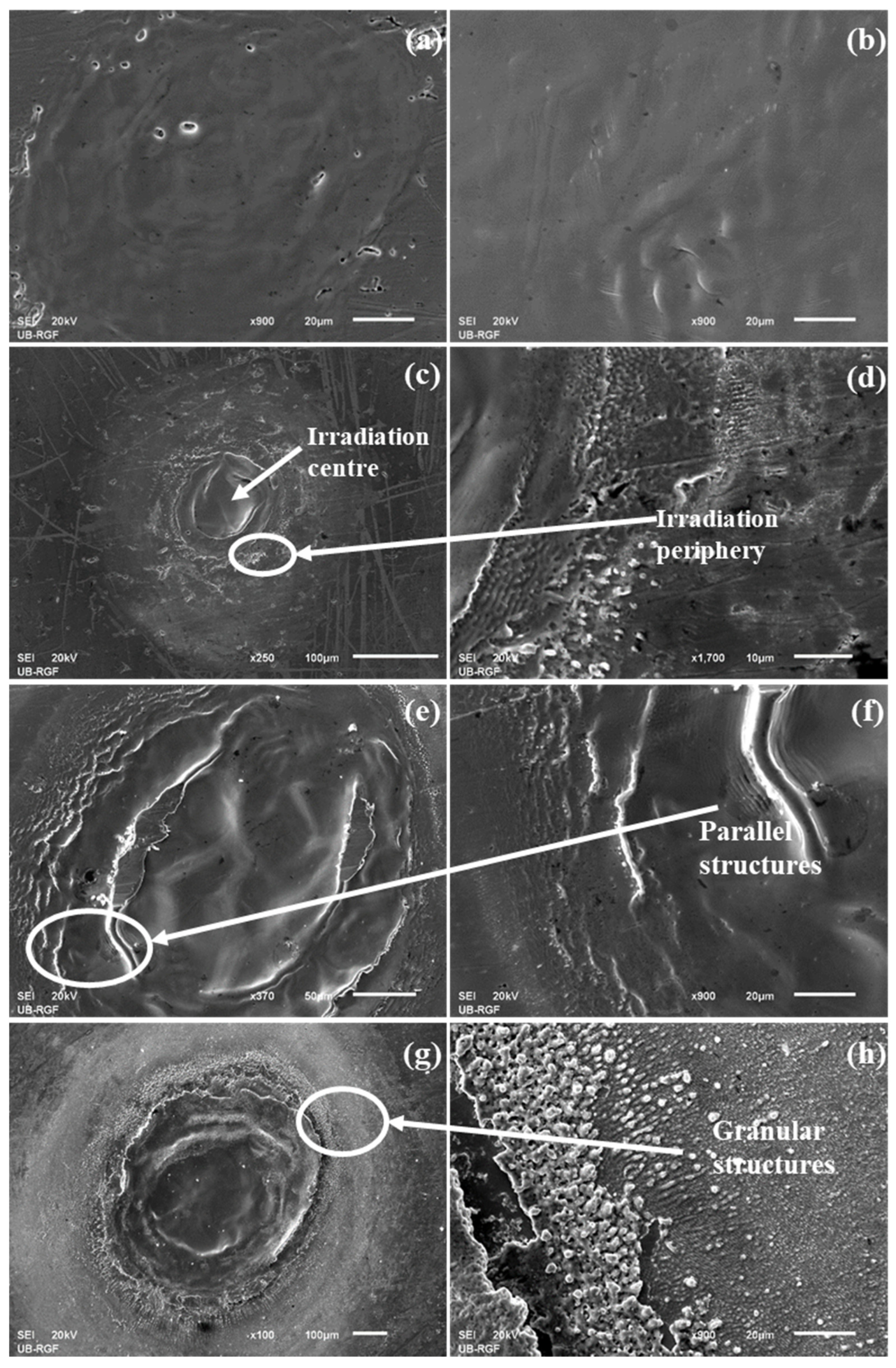 Materials 16 01021 g001
