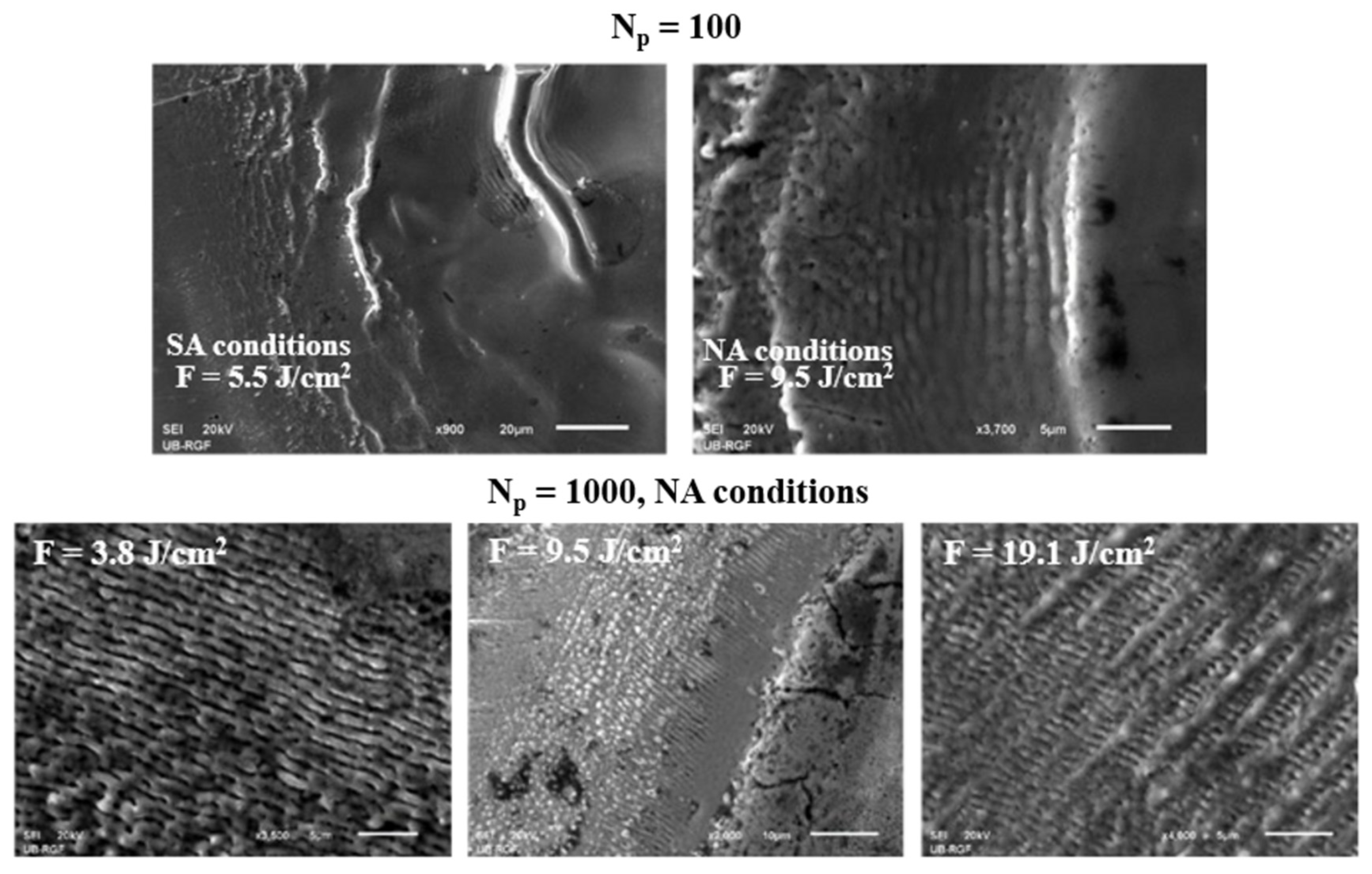 Materials 16 01021 g005
