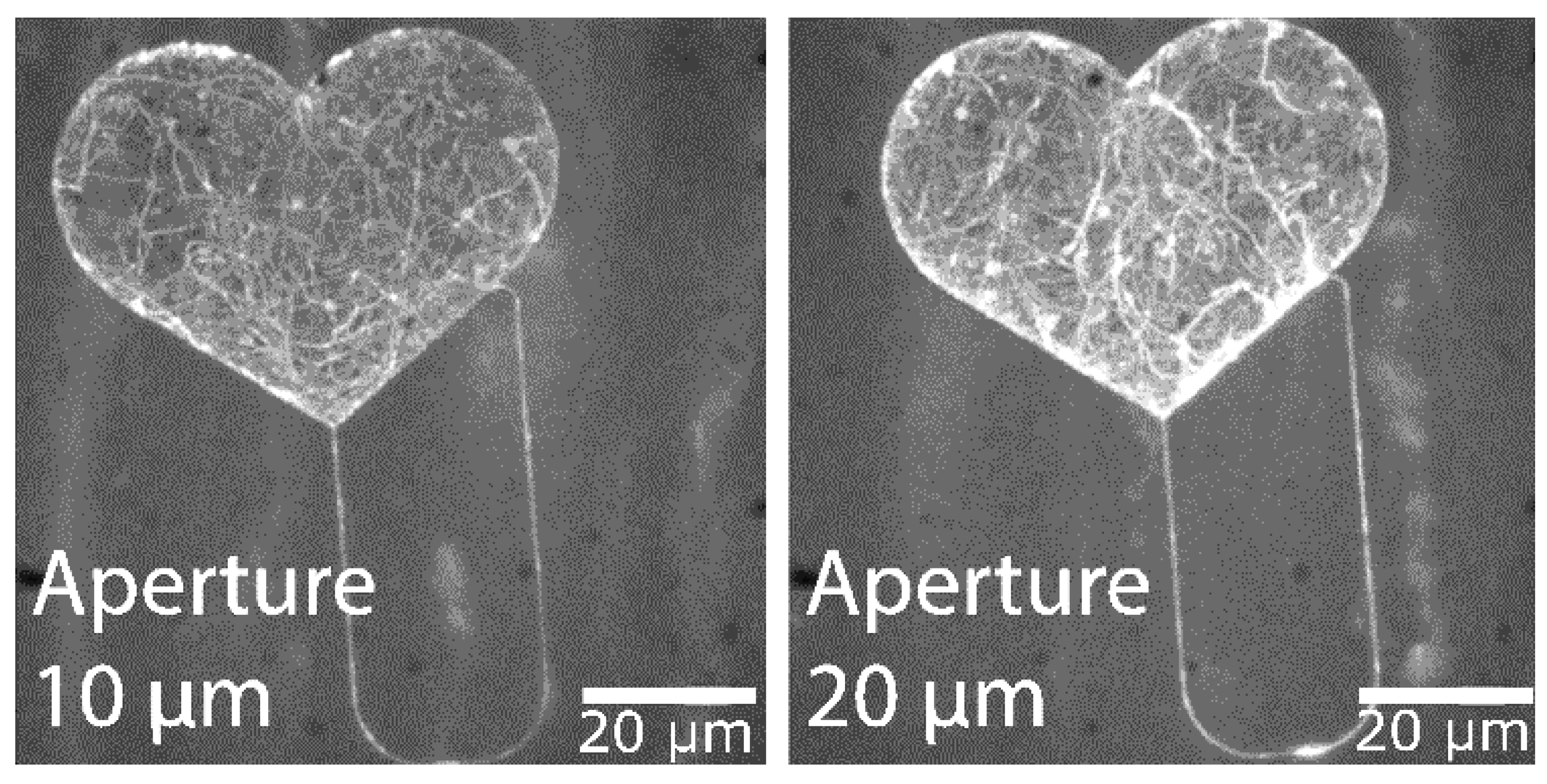 Materials 16 01046 g013 Materials 16 01046 g013