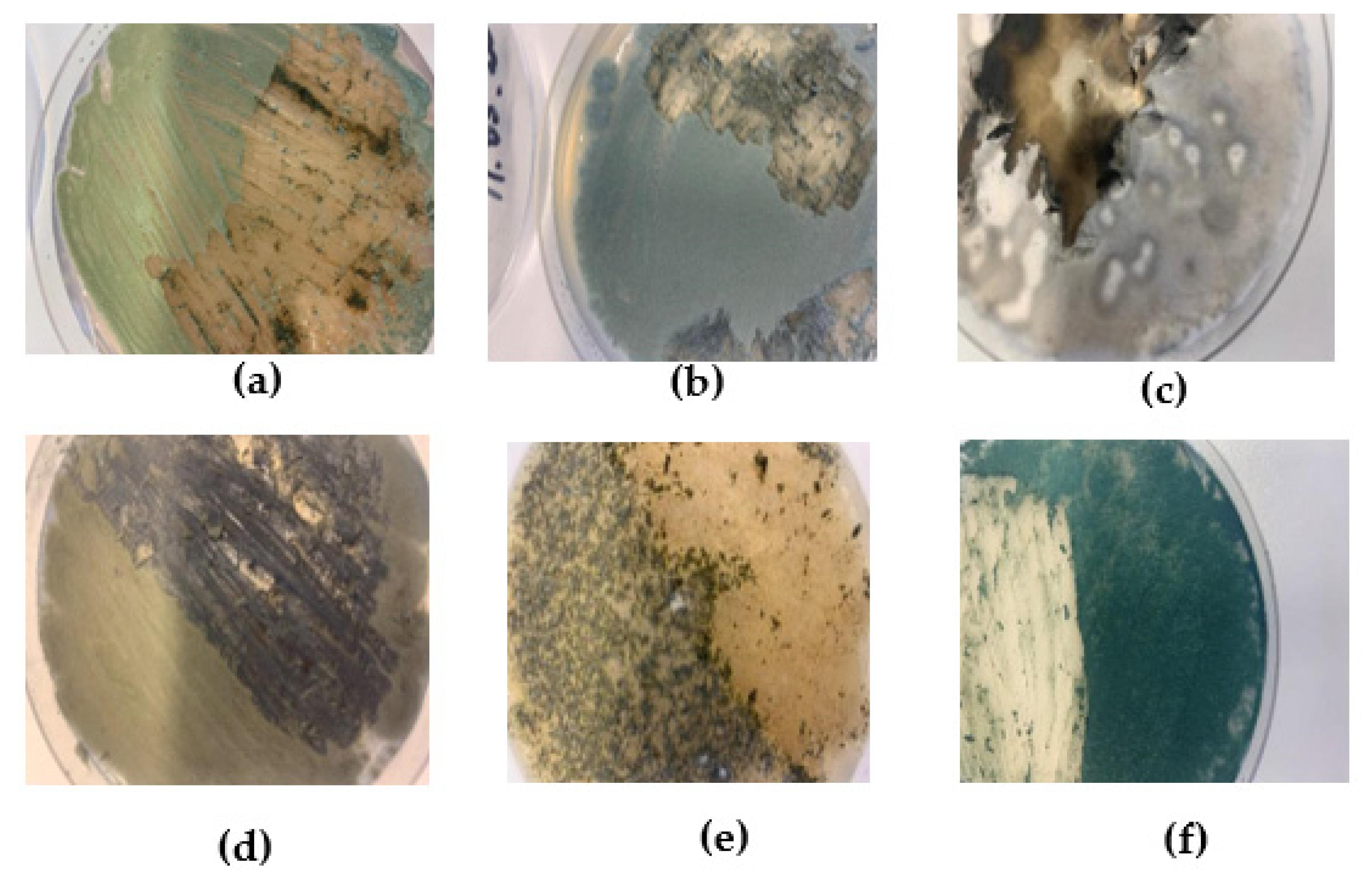 Materials 16 01060 g001