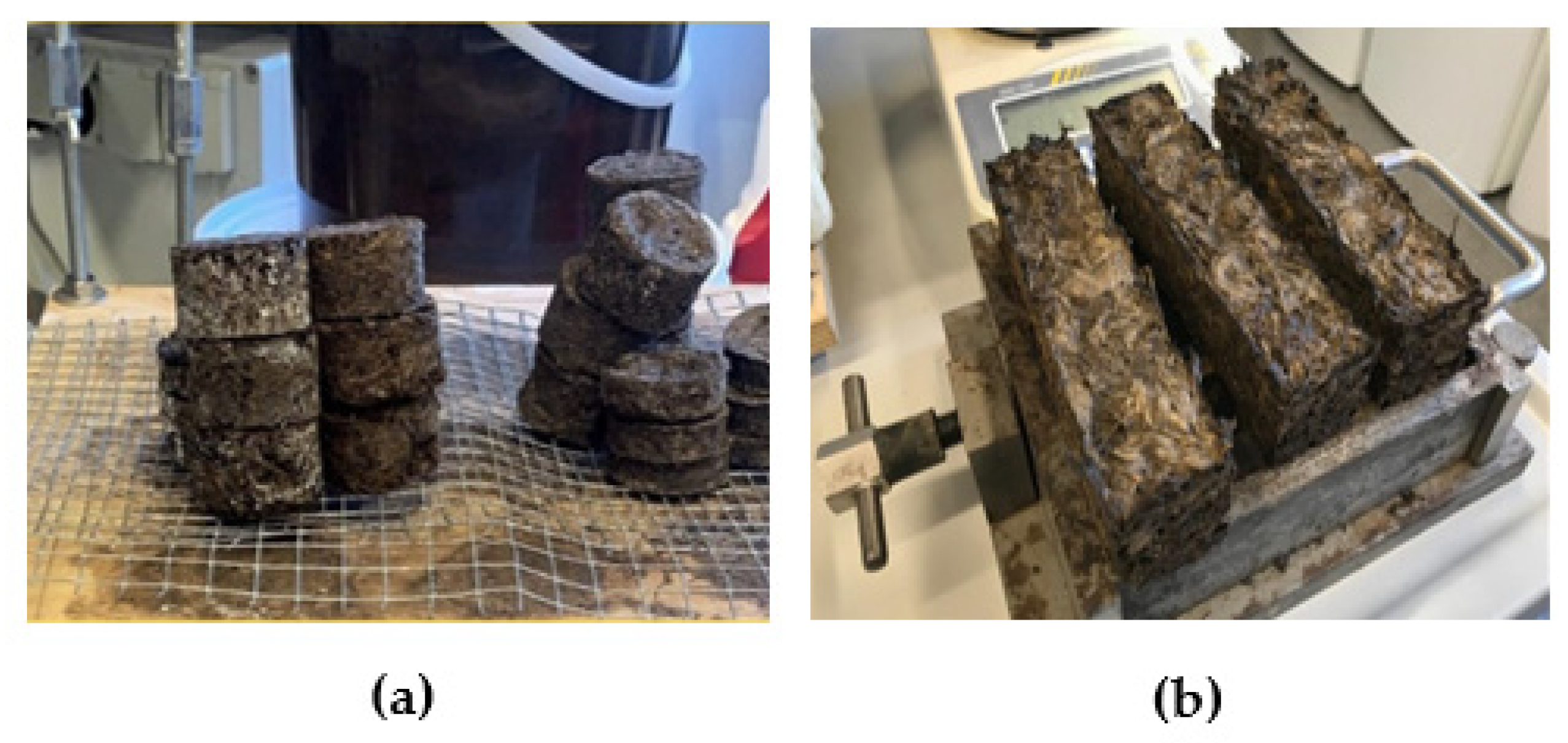 Materials 16 01060 g002