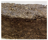 Materials 16 01060 i002