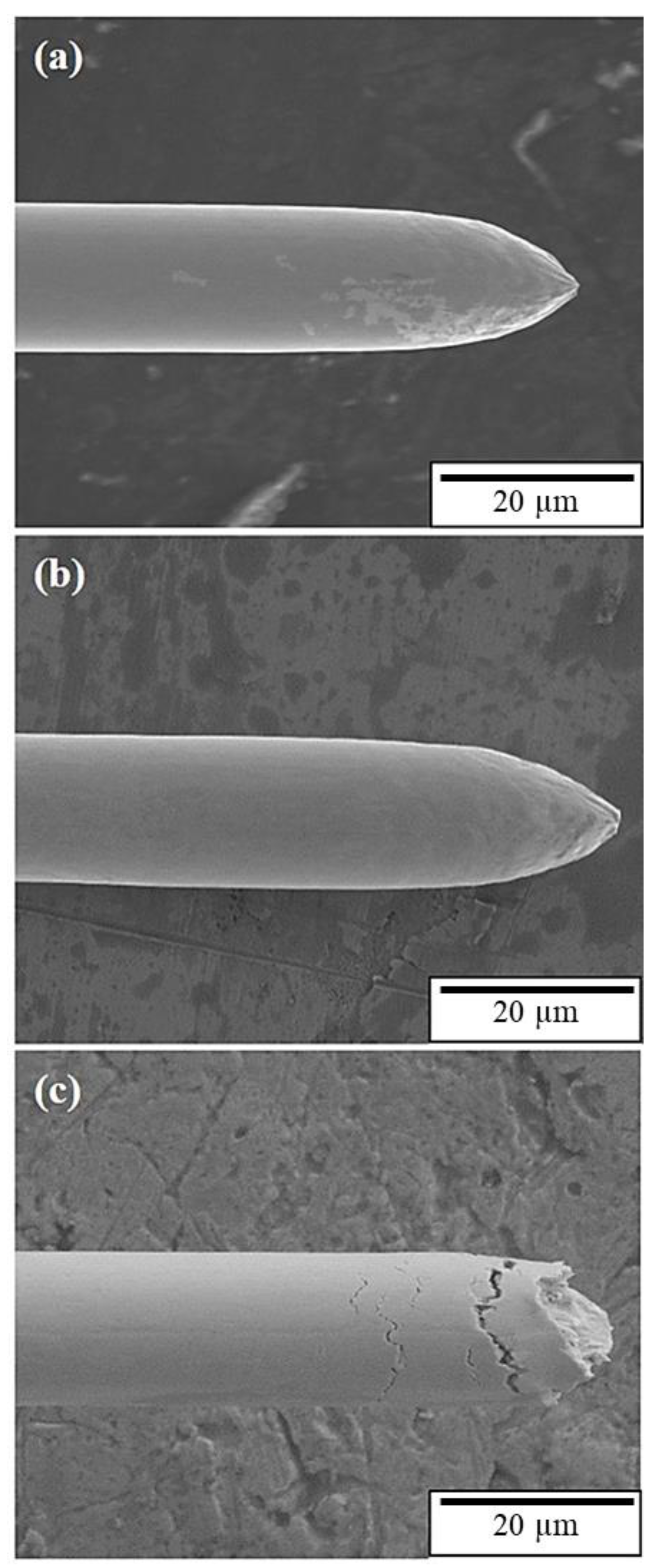 Materials 16 01066 g002 Materials 16 01066 g002