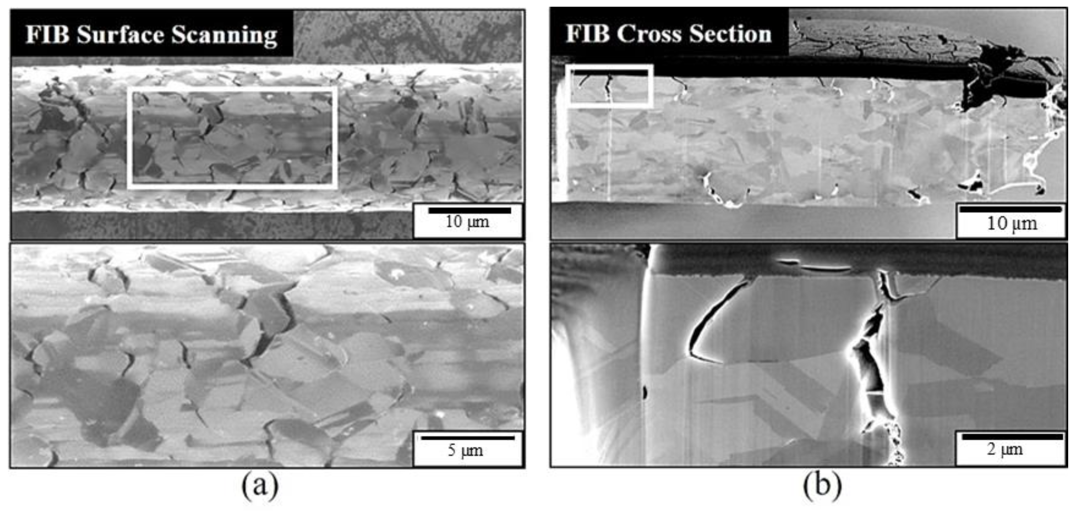 Materials 16 01066 g004 Materials 16 01066 g004
