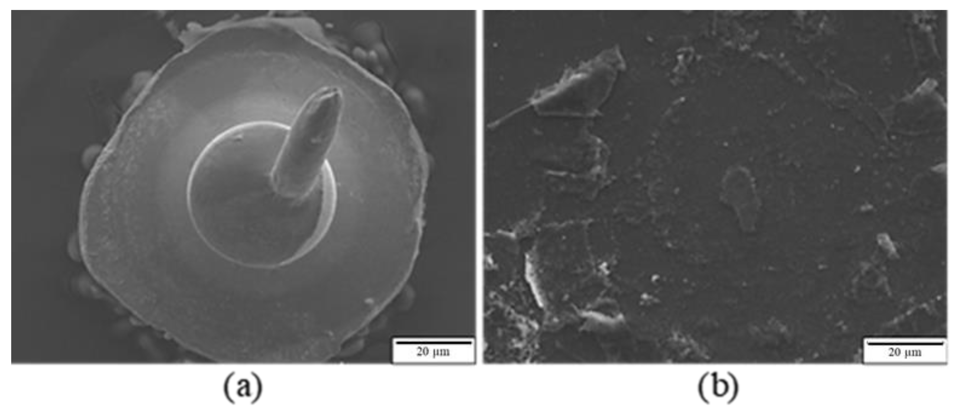 Materials 16 01066 g007 Materials 16 01066 g007