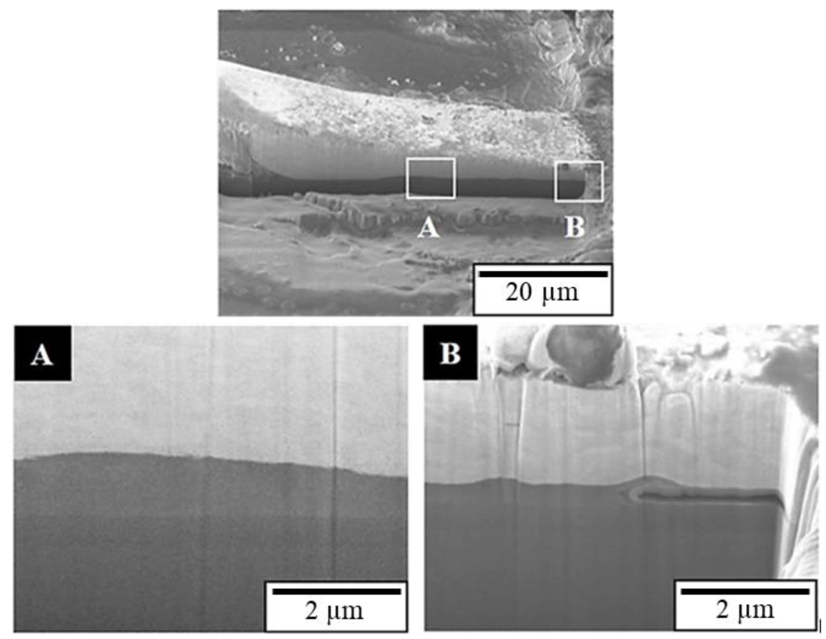 Materials 16 01066 g012 Materials 16 01066 g012