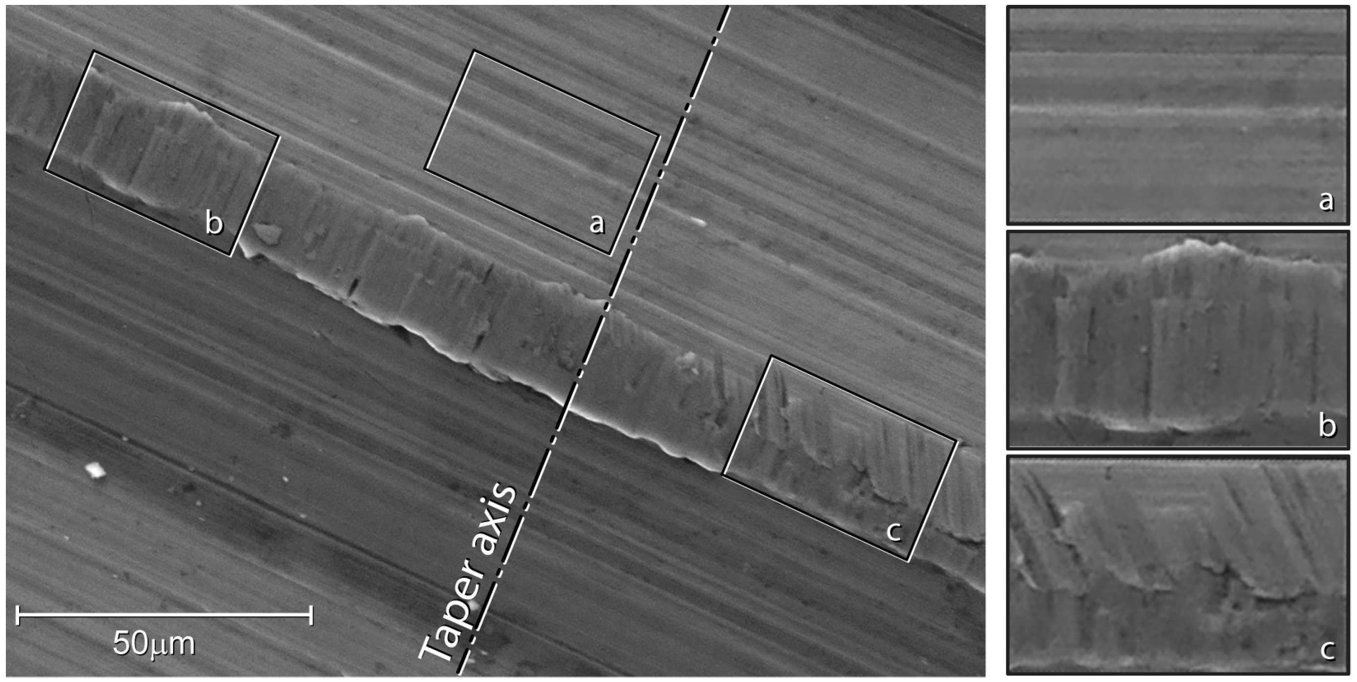 Materials 16 01067 g004 Materials 16 01067 g004