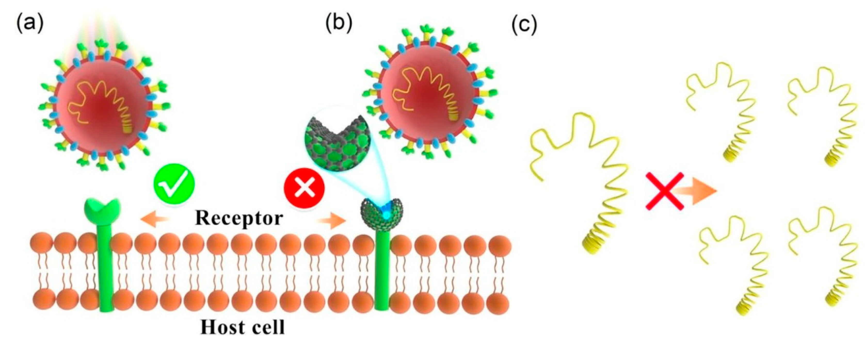 Materials 16 01068 g006