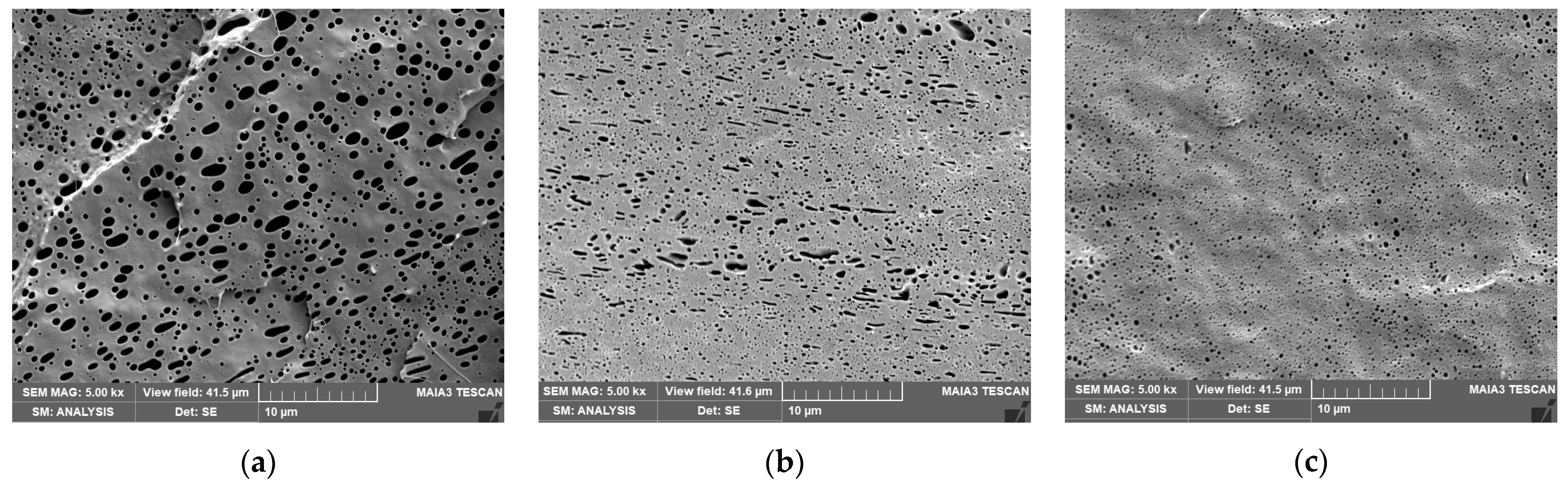 Materials 16 01087 g002 Materials 16 01087 g002