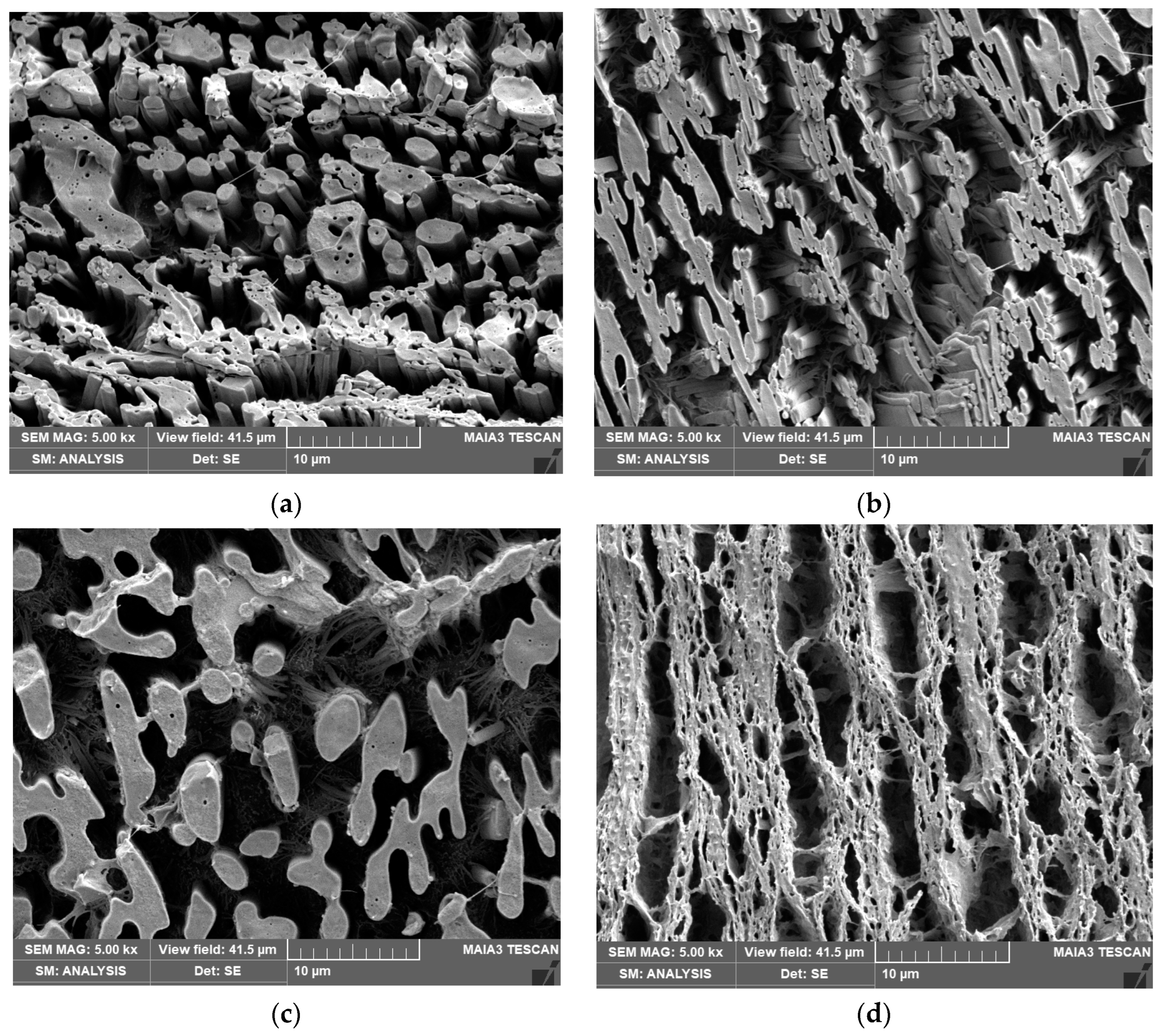 Materials 16 01087 g003a Materials 16 01087 g003a