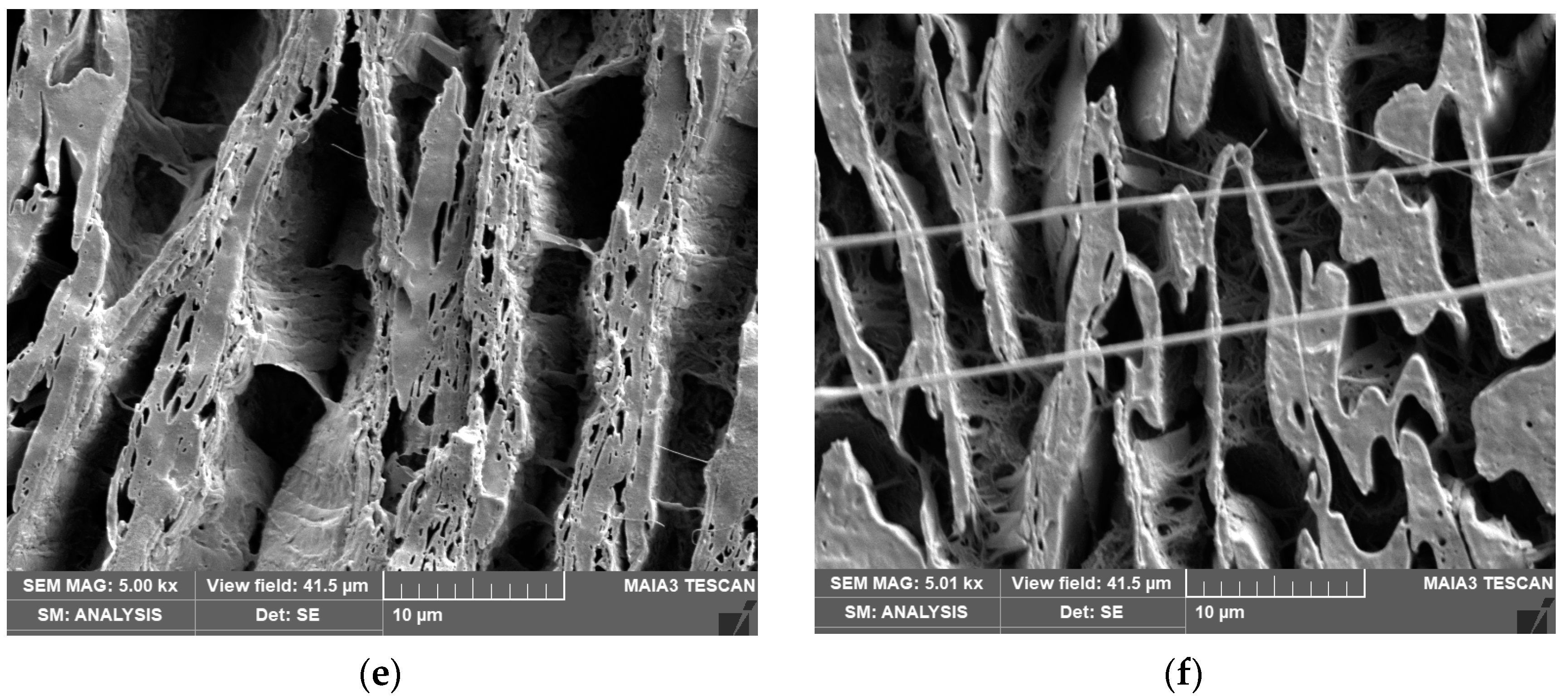 Materials 16 01087 g003b Materials 16 01087 g003b