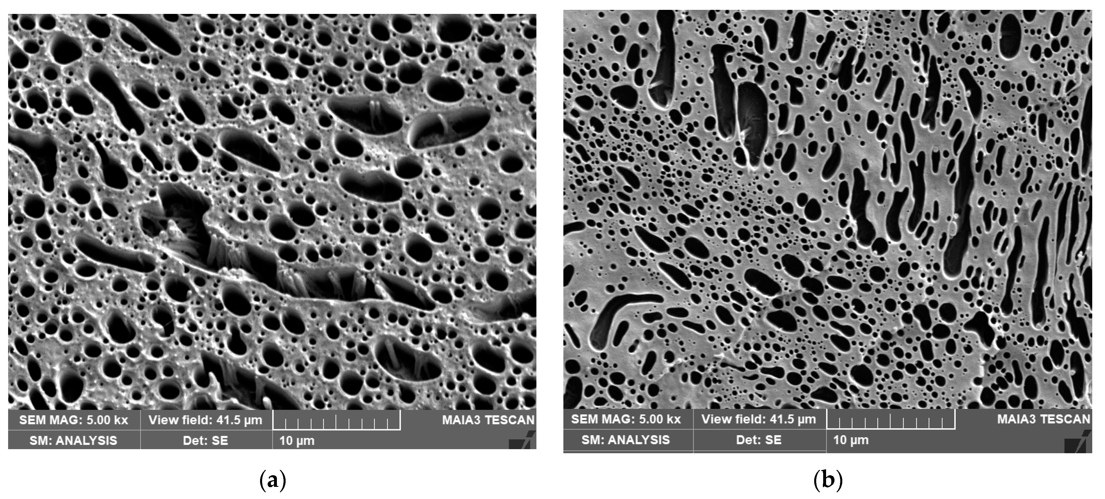 Materials 16 01087 g004a Materials 16 01087 g004a