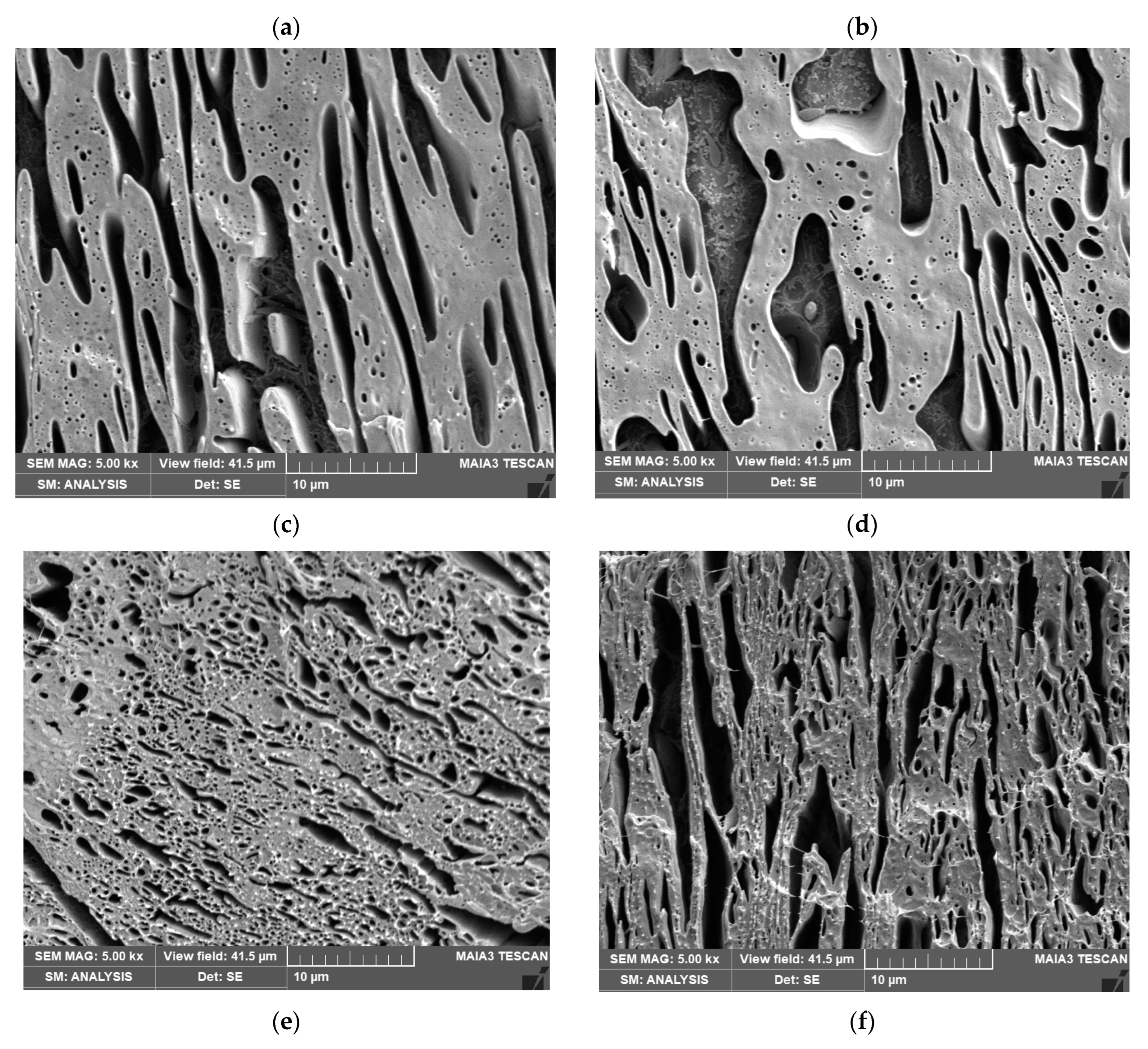 Materials 16 01087 g004b Materials 16 01087 g004b