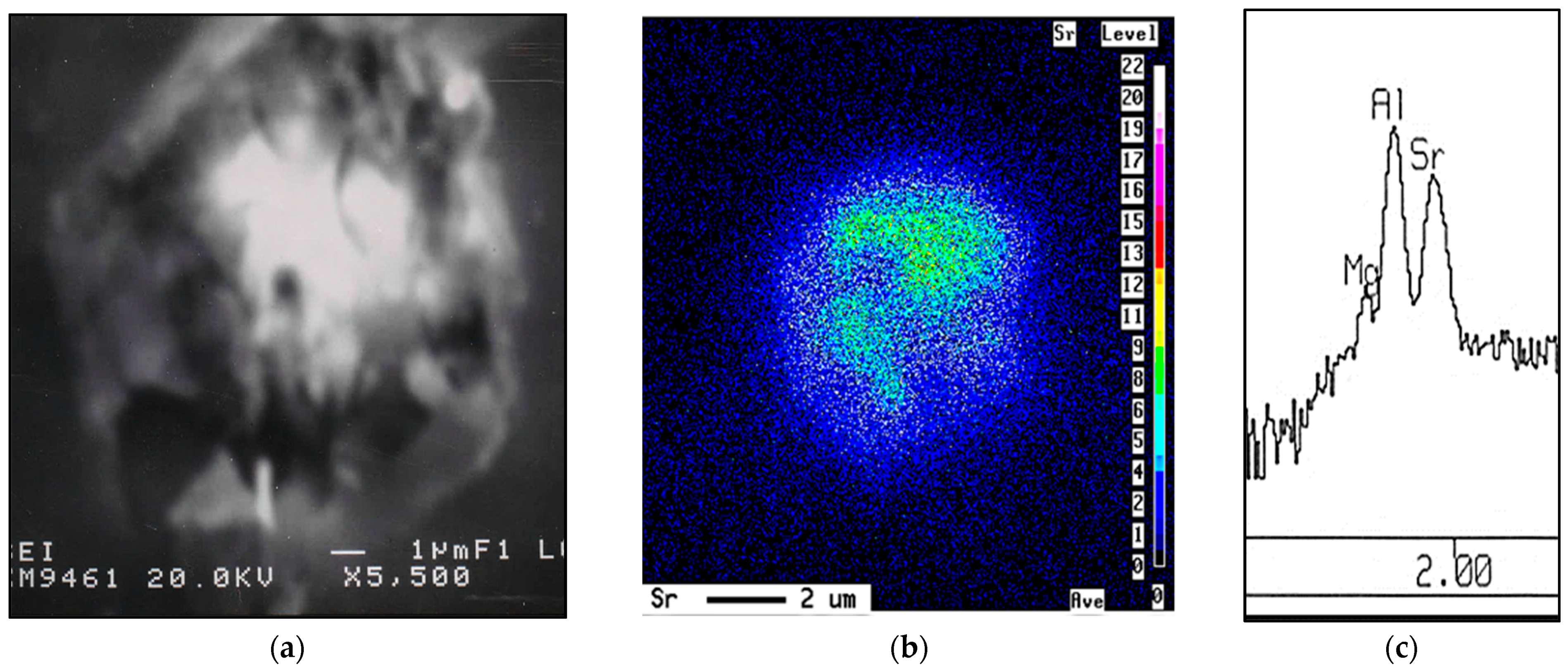 Materials 16 01110 g003