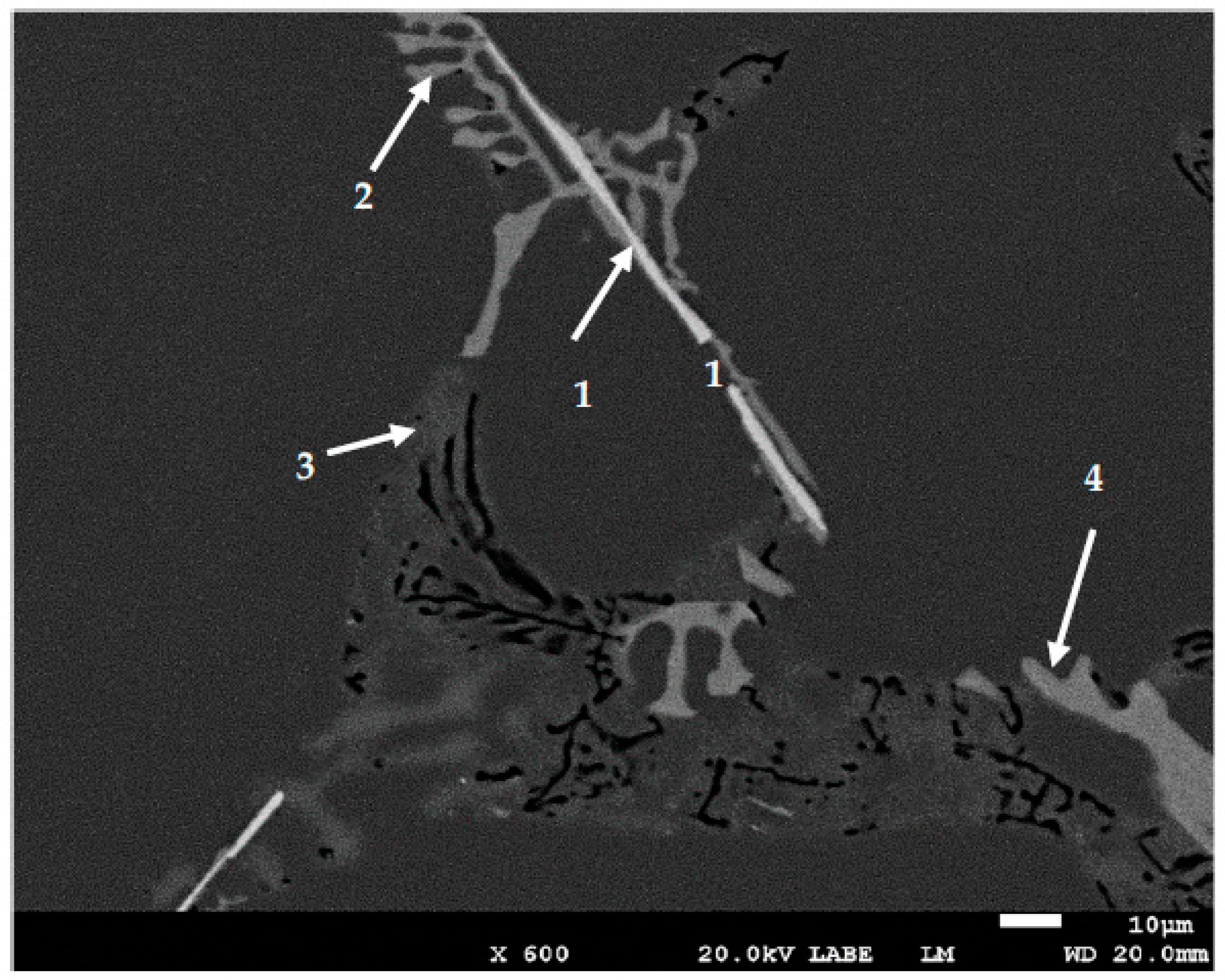 Materials 16 01110 g006