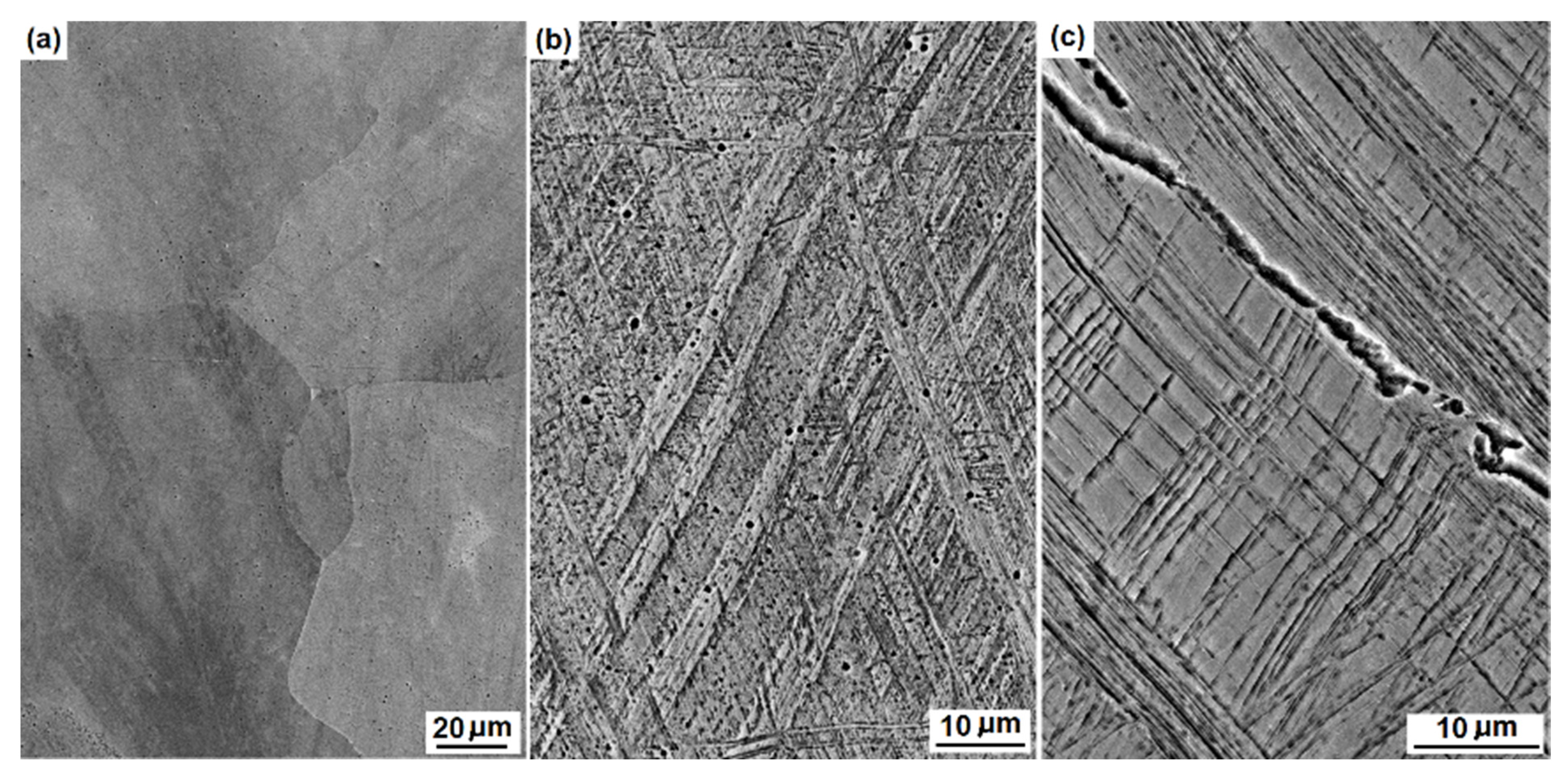 Materials 16 01117 g002 Materials 16 01117 g002