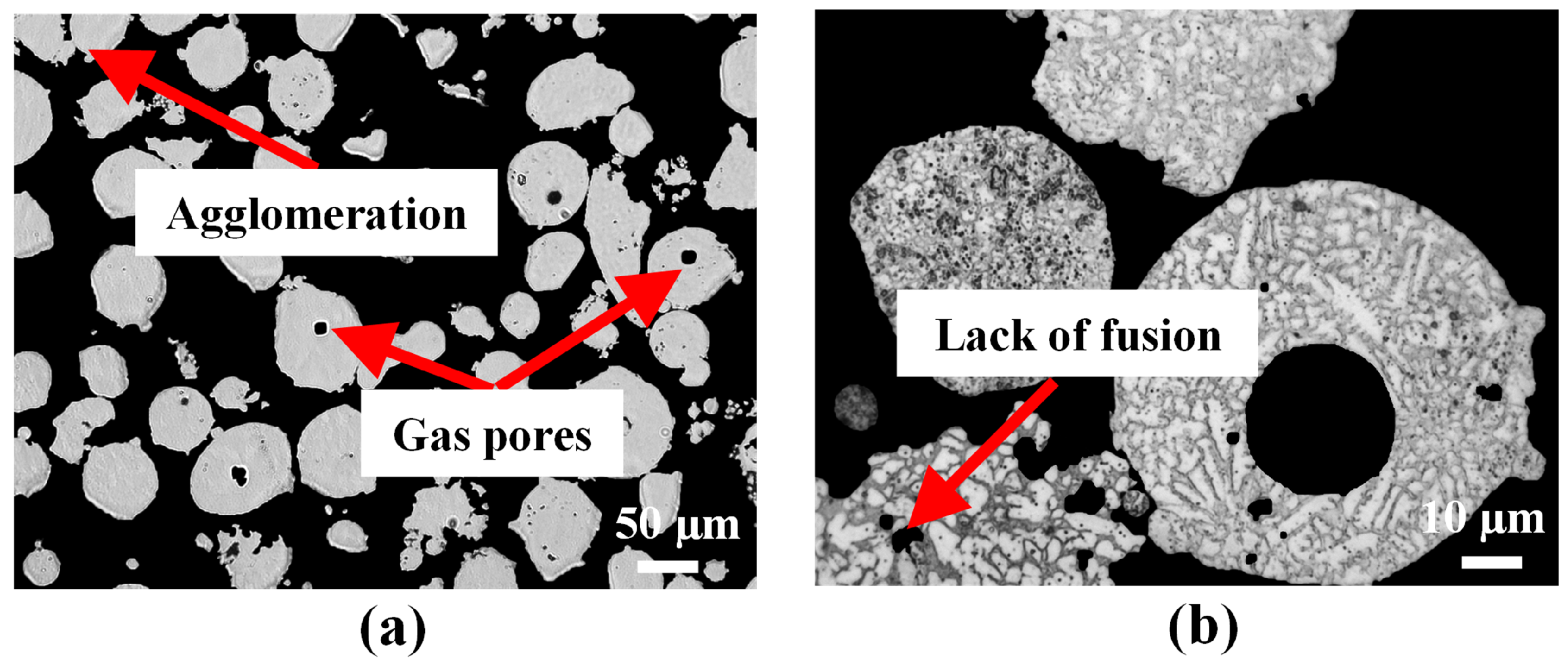 Materials 16 01129 g005 Materials 16 01129 g005