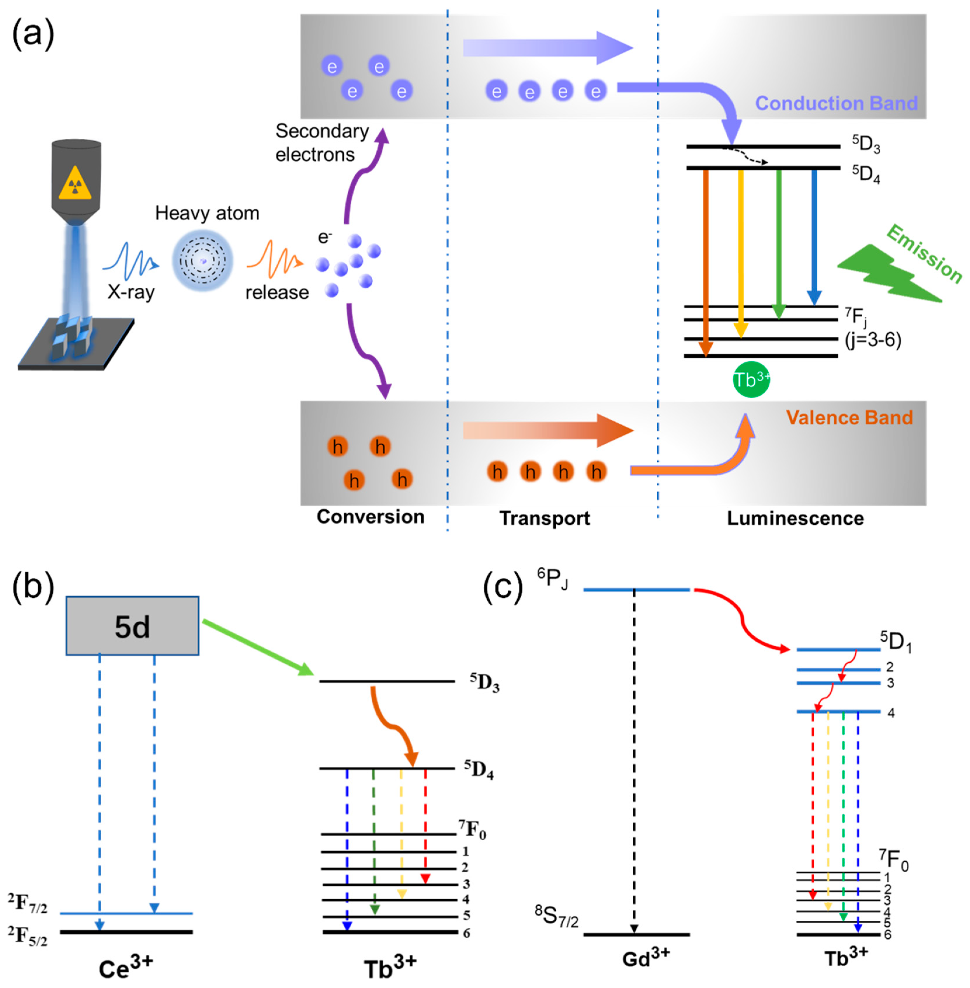 Materials 16 01147 g004