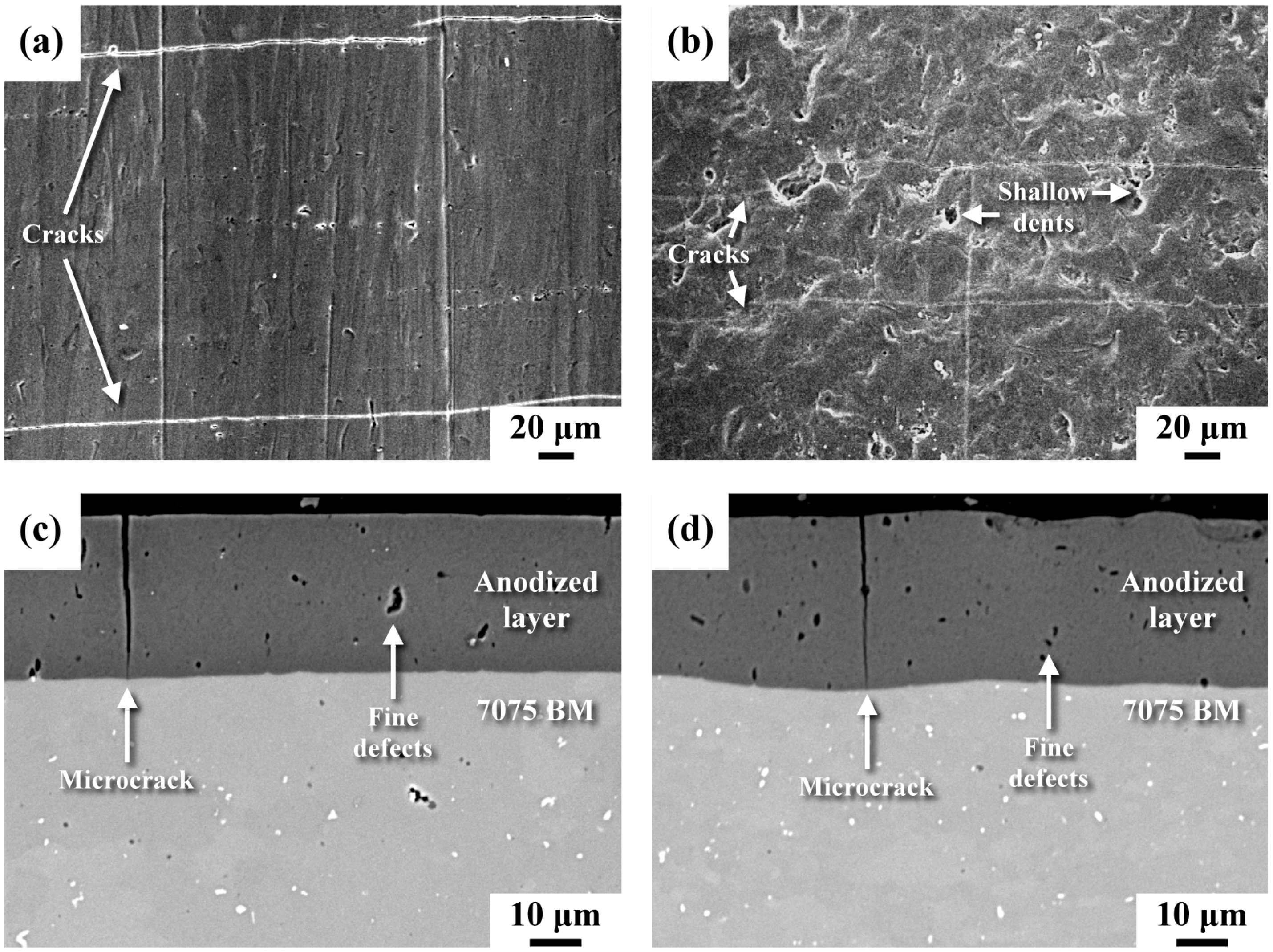 Materials 16 01160 g003