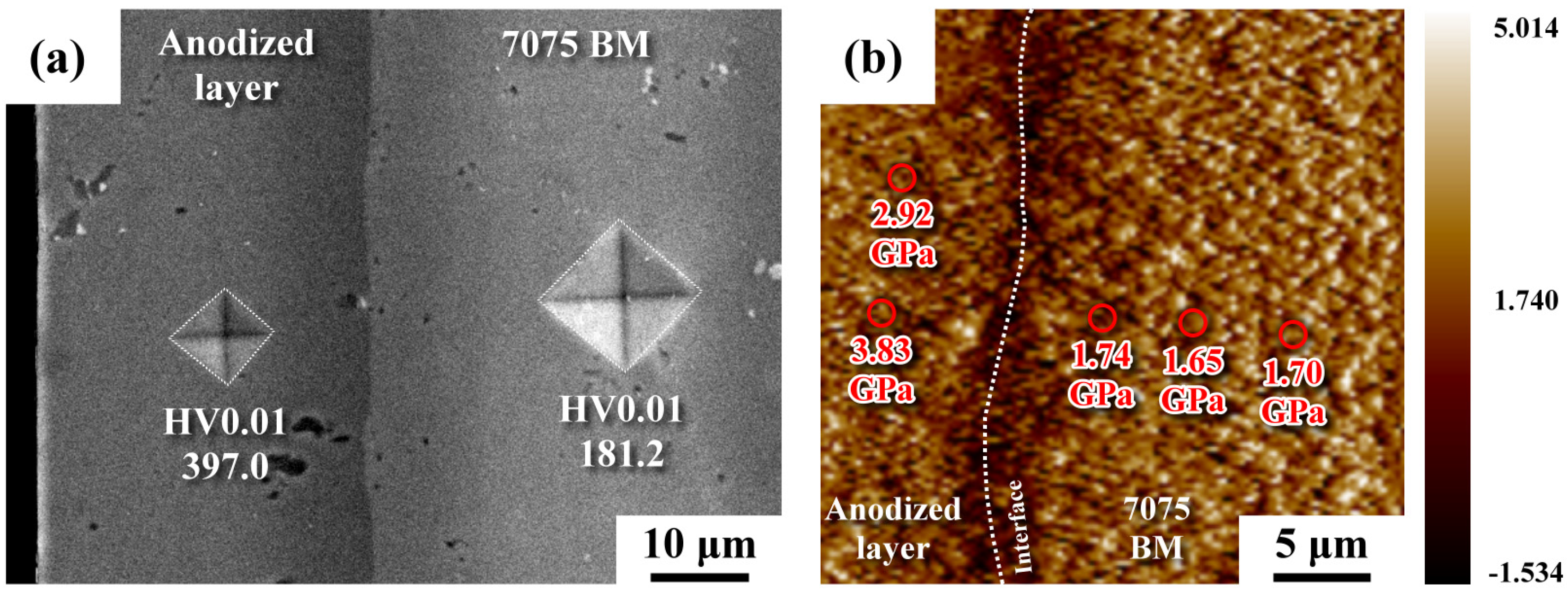 Materials 16 01160 g004