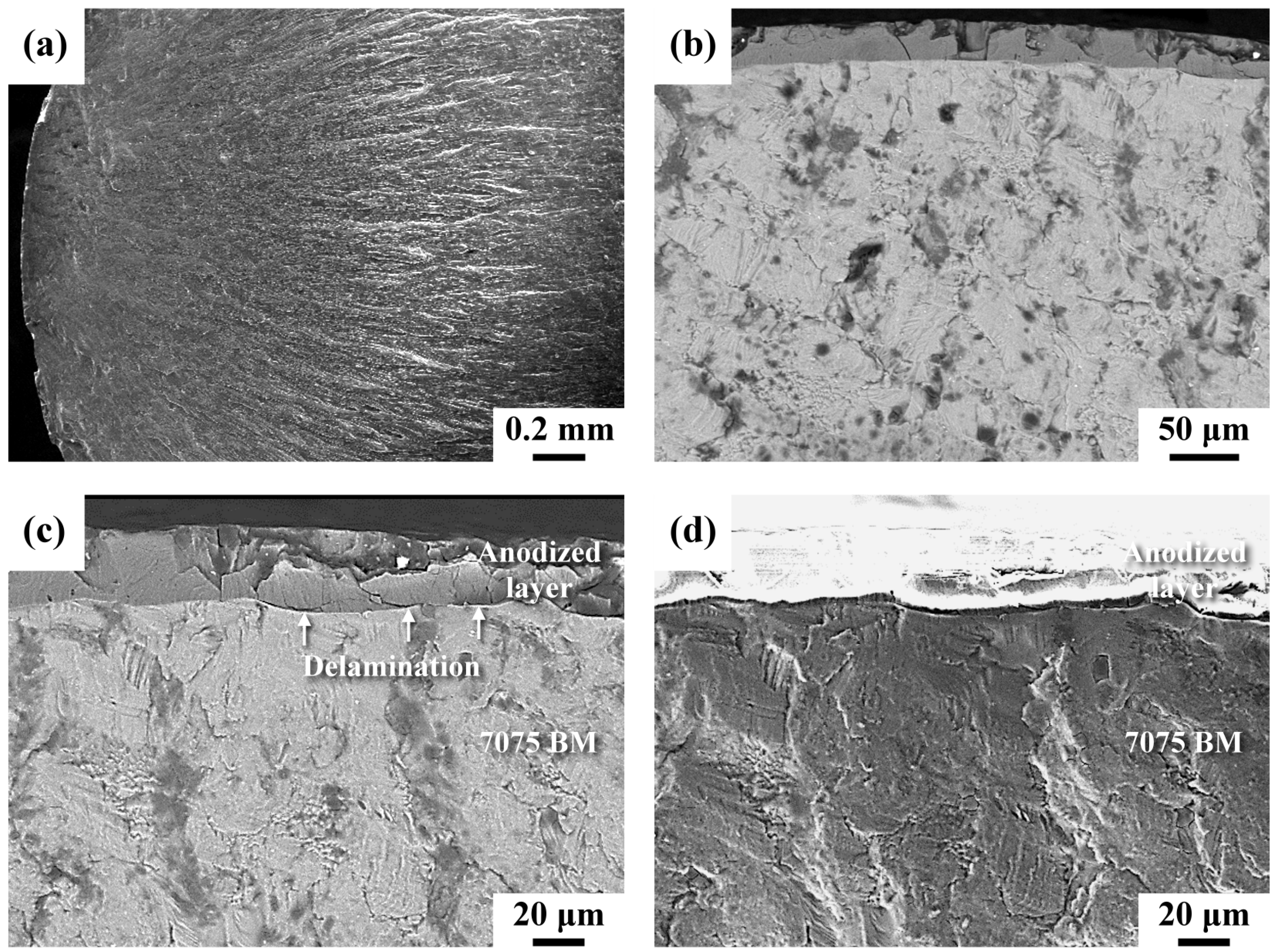 Materials 16 01160 g008