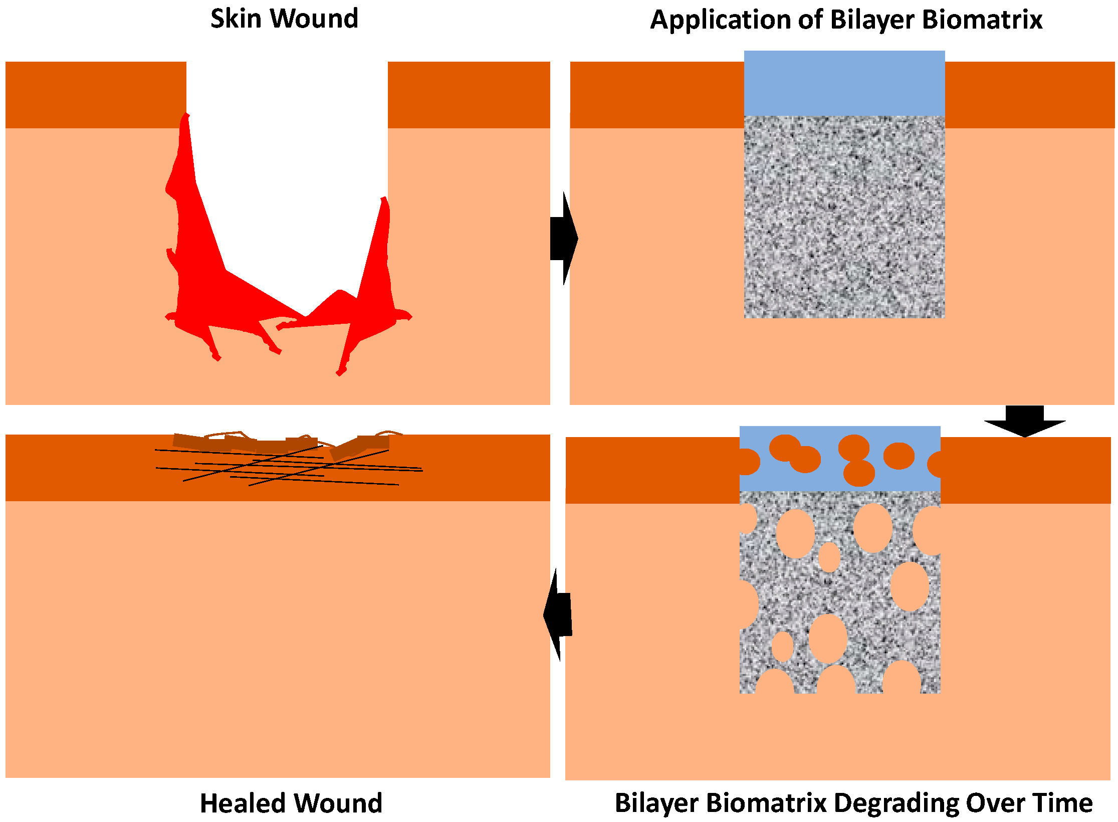 Materials 16 01162 g001