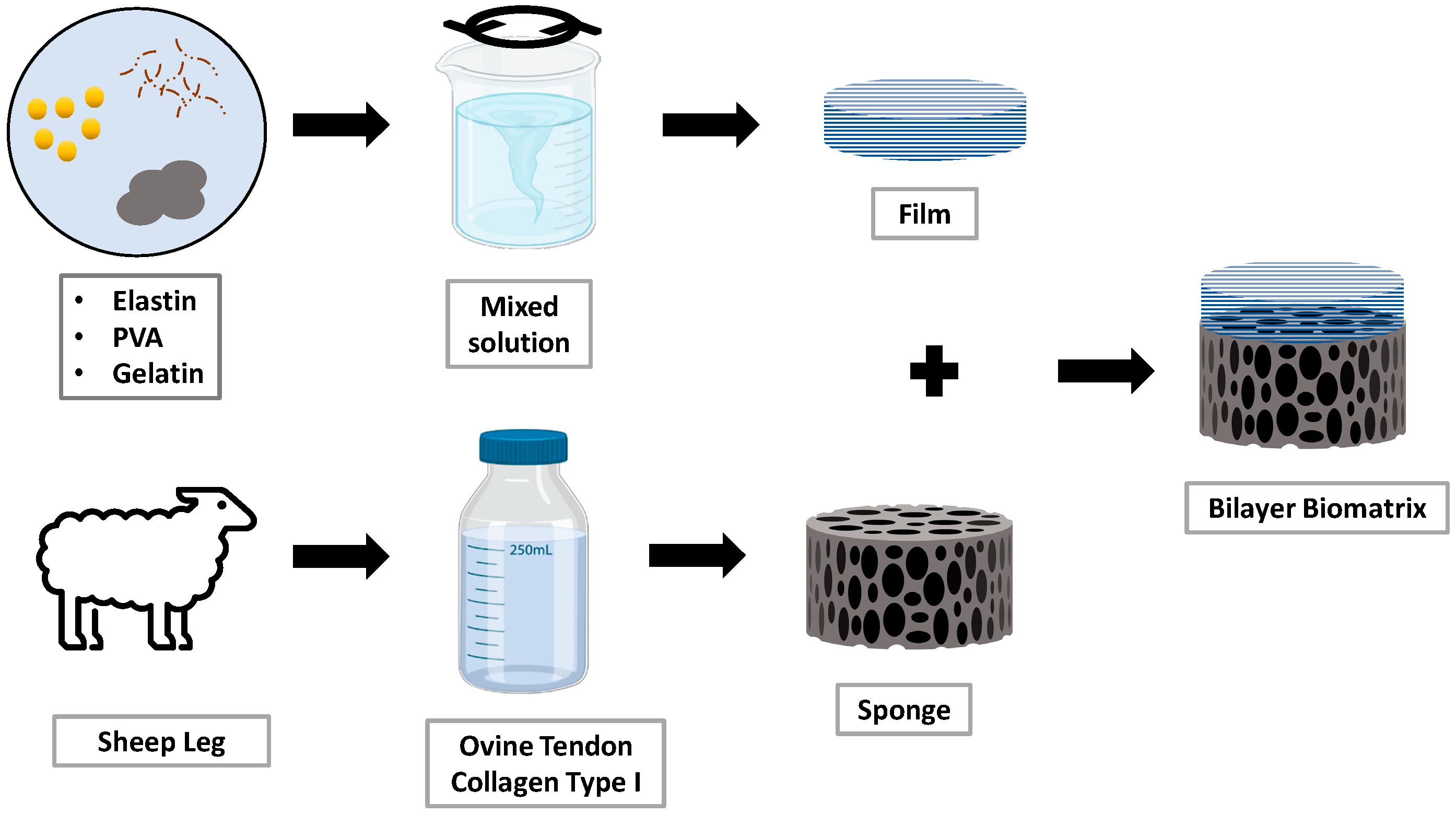 Materials 16 01162 g002