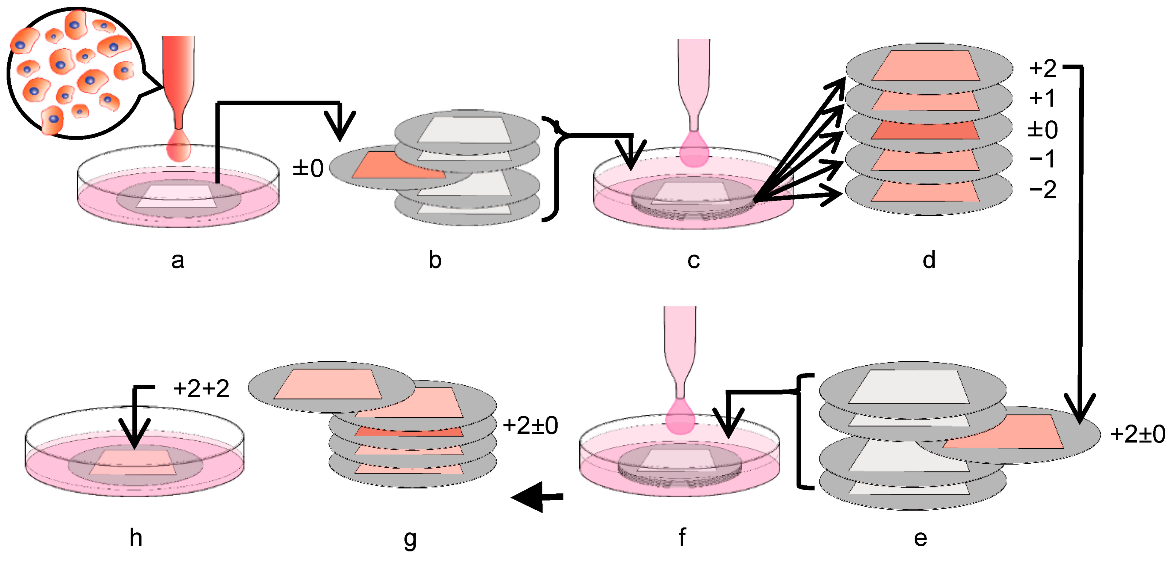 Materials 16 01165 g002 Materials 16 01165 g002